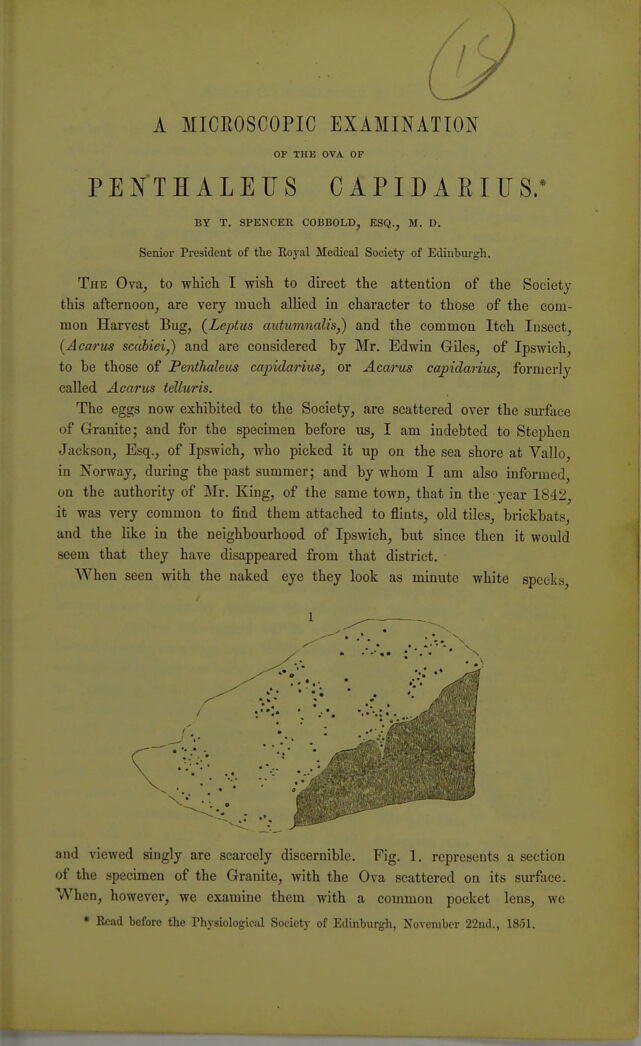 digitised image 3