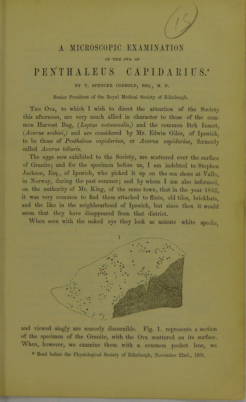 A MICKOSCOPIC EXAMINATION OF THE OVA OF PENTH ALEUS C A PID A BI U S.* BY T. SPENCER COBBOLD, ESQ., M. D. Senior President of the Royal Medical Society of Edinburgh. The Ova, to which. I wish to direct the attention of the Society this afternoon, are very much allied in character to those of the com- mon Harvest Bug, (Leptus autumnalis,) and the common Itch Insect, (Acarus scabiei,) and are considered by Mr. Edwin Giles, of Ipswich, to be those of JPenthaleus capidarius, or Acarus capidarius, formerly called Acarus telluris. The eggs now exhibited to the Society, are scattered over the surface of Granite; and for the specimen before us, I am indebted to Stephen Jackson, Esq., of Ipswich, who picked it up on the sea shore at Vallo, in Norway, during the past summer; and by whom I am also informed, on the authority of Mr. King, of the same town, that in the year 1842, it was very common to find them attached to flints, old tiles, brickbats, and the like in the neighbourhood of Ipswich, but since then it would seem that they have disappeared from that district. When seen with the naked eye they look as minute white specks, and viewed singly are scarcely discernible. Fig. 1. represents a section of the specimen of the Granite, with the Ova scattered on its surface. When, however, we examine them with a common pocket lens, we • Read before the Physiological Society of Edinburgh, November 22nd., 1851.