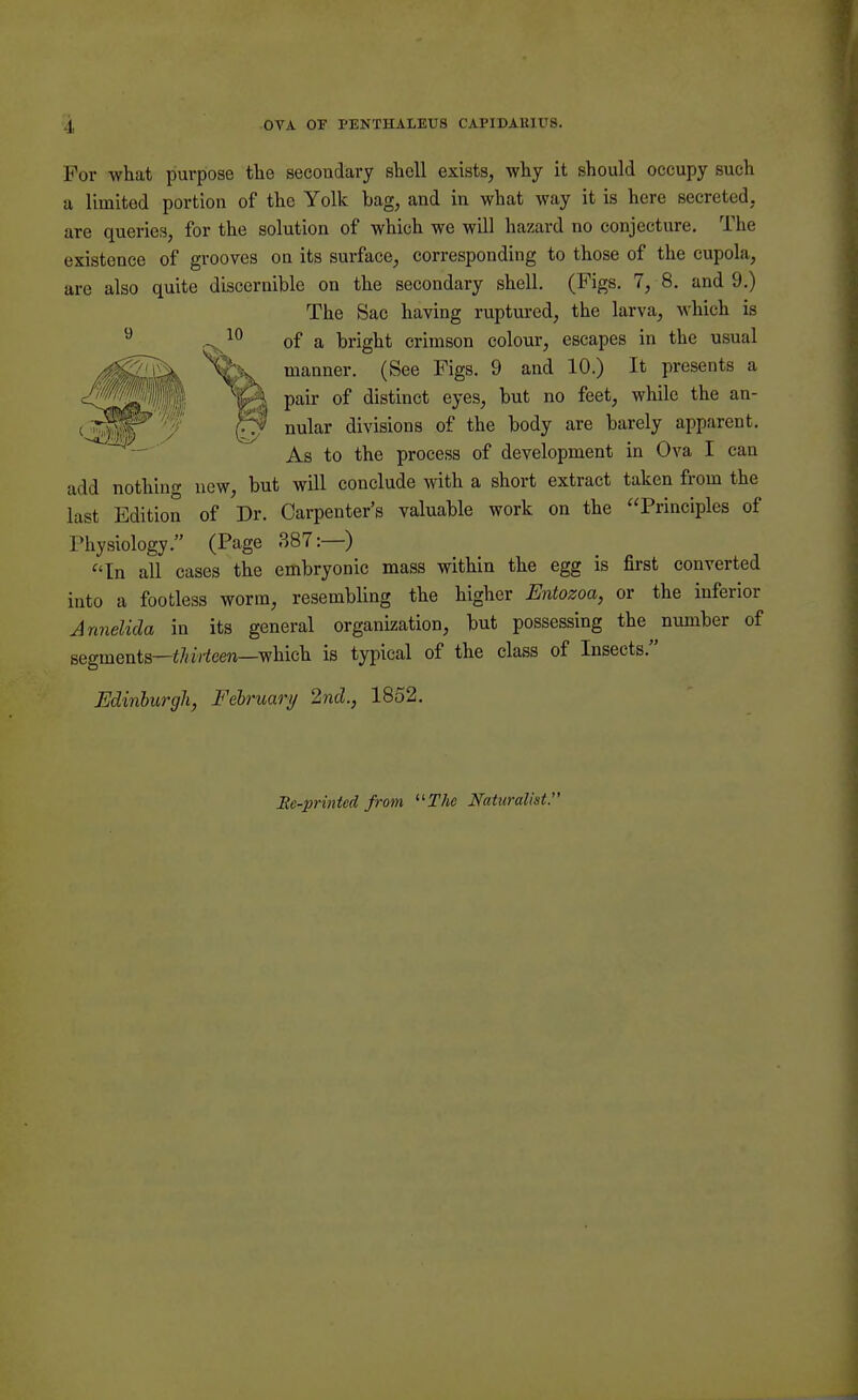 For what purpose the secondary shell exists, why it should occupy such a limited portion of the Yolk bag, and in what way it is here secreted, are queries, for the solution of which we will hazard no conjecture. The existence of grooves on its surface, corresponding to those of the cupola, are also quite discernible on the secondary shell. (Figs. 7, 8. and 9.) The Sac having ruptured, the larva, which is of a bright crimson colour, escapes in the usual manner. (See Figs. 9 and 10.) It presents a pair of distinct eyes, but no feet, while the an- (l> nular divisions of the bodyare barely apparent- As to the process of development in Ova I can add nothing new, but will conclude with a short extract taken from the last Edition of Dr. Carpenter's valuable work on the Principles of Physiology. (Page 387:—) In all cases the embryonic mass within the egg is first converted into a footless worm, resembling the higher Entozoa, or the inferior Annelida in its general organization, but possessing the number of segments—thirteen—which is typical of the class of Insects. Edinburgh, Eelruary 2nd., 1852. Be-printcd from The Naturalist.