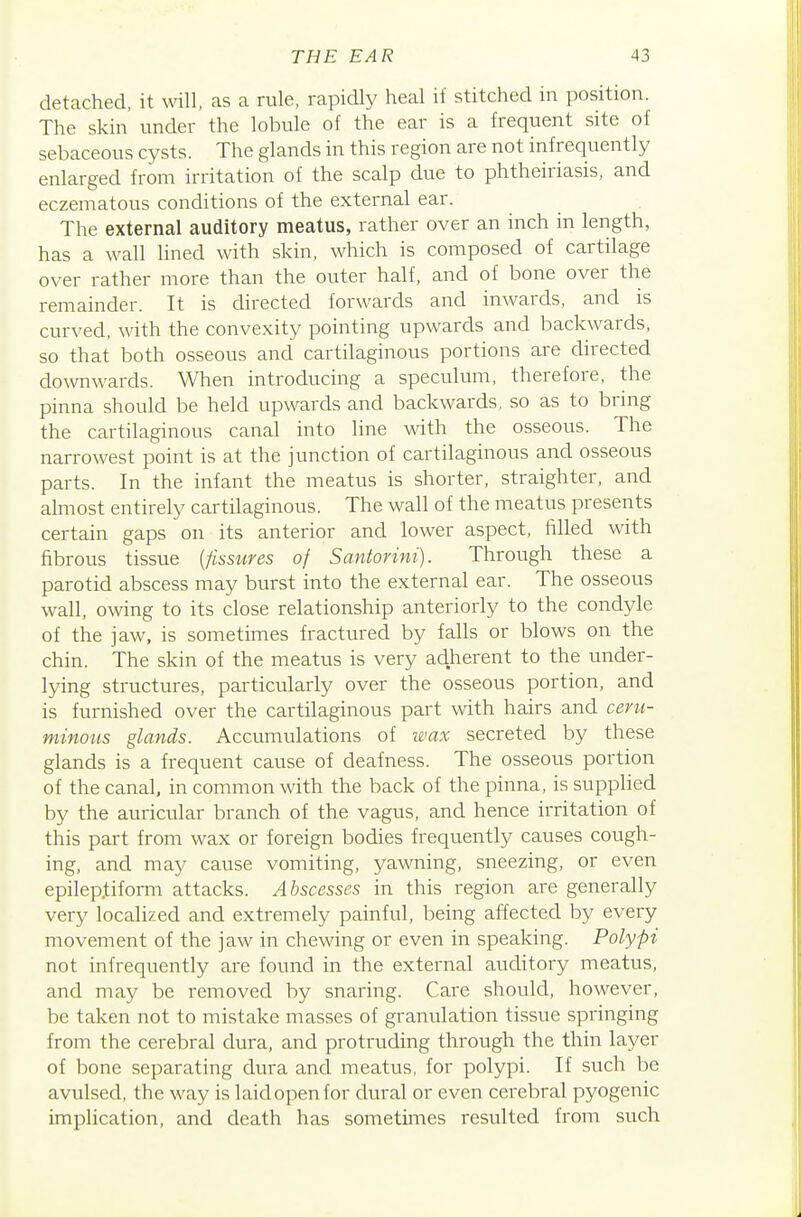 detached, it will, as a rule, rapidly heal it stitched in position. The skin under the lobule of the ear is a frequent site of sebaceous cysts. The glands in this region are not infrequently enlarged from irritation of the scalp due to phtheiriasis, and eczematous conditions of the external ear. The external auditory meatus, rather over an inch in length, has a wall lined with skin, which is composed of cartilage over rather more than the outer half, and of bone over the remainder. It is directed forwards and inwards, and is curved, with the convexity pointing upwards and backwards, so that both osseous and cartilaginous portions are directed downwards. When introducing a speculum, therefore, the pinna should be held upwards and backwards, so as to bring the cartilaginous canal into line with the osseous. The narrowest point is at the junction of cartilaginous and osseous parts. In the infant the meatus is shorter, straighter, and almost entirely cartilaginous. The wall of the meatus presents certain gaps on its anterior and lower aspect, filled with fibrous tissue {fissures of Santorini). Through these a parotid abscess may burst into the external ear. The osseous wall, owing to its close relationship anteriorly to the condyle of the jaw, is sometimes fractured by falls or blows on the chin. The skin of the meatus is very adherent to the under- lying structures, particularly over the osseous portion, and is furnished over the cartilaginous part with hairs and ceru- minous glands. Accumulations of wax secreted by these glands is a frequent cause of deafness. The osseous portion of the canal, in common with the back of the pinna, is supplied by the auricular branch of the vagus, and hence irritation of this part from wax or foreign bodies frequently causes cough- ing, and may cause vomiting, yawning, sneezing, or even epileptiform attacks. Abscesses in this region are generally very localized and extremely painful, being affected by every movement of the jaw in chewing or even in speaking. Polypi not infrequently are found in the external auditory meatus, and may be removed by snaring. Care should, however, be taken not to mistake masses of granulation tissue springing from the cerebral dura, and protruding through the thin layer of bone separating dura anci meatus, for polypi. If such be avulsed, the way is laid open for dural or even cerebral pyogenic implication, and death has sometimes resulted from such