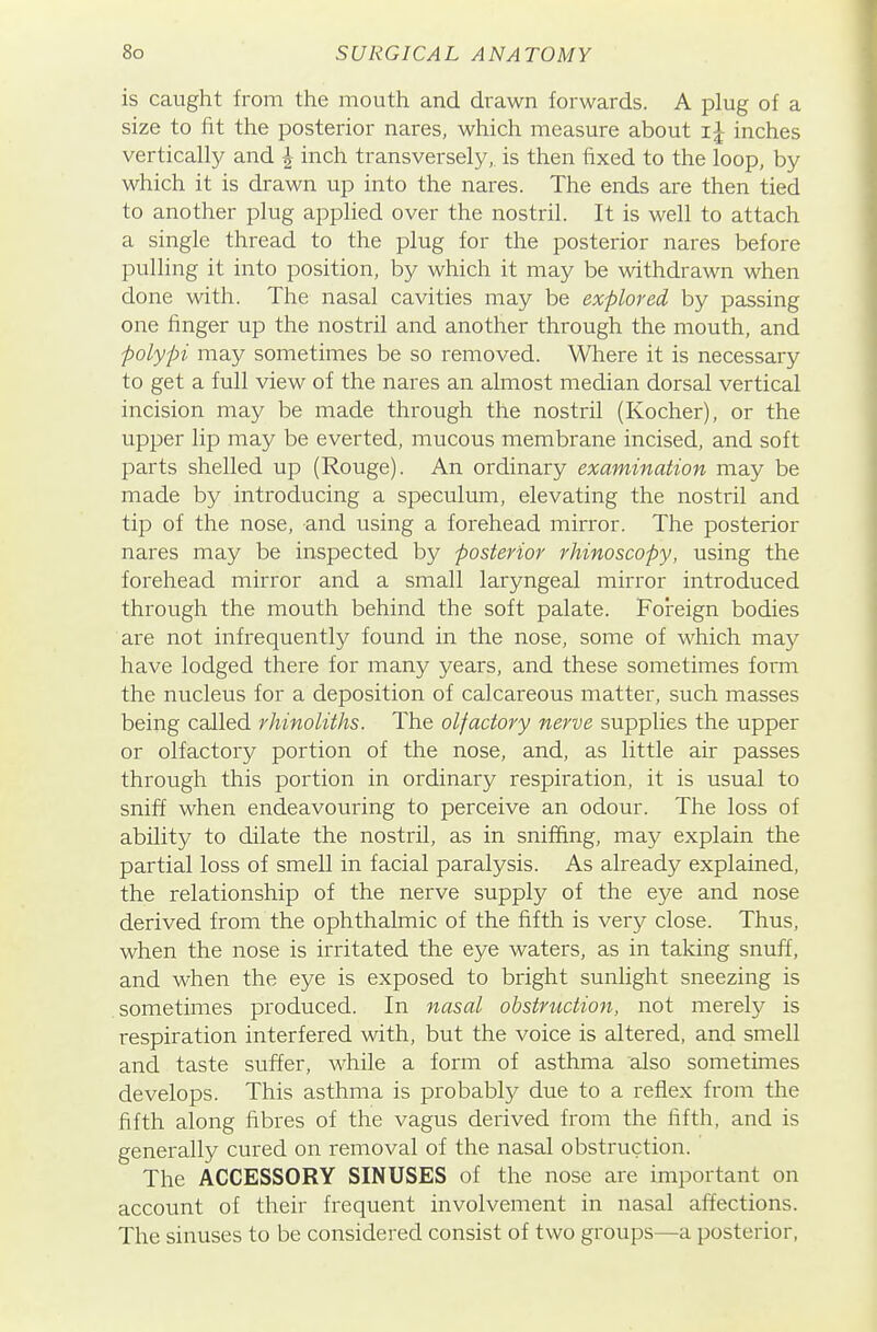 is caught from the mouth and drawn forwards. A plug of a size to fit the posterior nares, which measure about ij inches vertically and h inch transversely, is then fixed to the loop, by which it is drawn up into the nares. The ends are then tied to another plug applied over the nostril. It is well to attach a single thread to the plug for the posterior nares before pulling it into position, by which it may be withdrawn when done with. The nasal cavities may be explored by passing one finger up the nostril and another through the mouth, and polypi may sometimes be so removed. Where it is necessary to get a full view of the nares an almost median dorsal vertical incision may be made through the nostril (Kocher), or the upper lip may be everted, mucous membrane incised, and soft parts shelled up (Rouge). An ordinary examination may be made by introducing a speculum, elevating the nostril and tip of the nose, and using a foi^ehead mirror. The posterior nares may be inspected by posterior rhinoscopy, using the forehead mirror and a small laryngeal mirror introduced through the mouth behind the soft palate. Foreign bodies are not infrequently found in the nose, some of which may have lodged there for many years, and these sometimes form the nucleus for a deposition of calcareous matter, such masses being called rhinoliths. The olfactory nerve supplies the upper or olfactory portion of the nose, and, as little air passes through this portion in ordinary respiration, it is usual to sniff when endeavouring to perceive an odour. The loss of ability to dilate the nostril, as in sniffing, may explain the partial loss of smell in facial paralysis. As already explained, the relationship of the nerve supply of the eye and nose derived from the ophthalmic of the fifth is very close. Thus, when the nose is irritated the eye waters, as in taking snuff, and when the eye is exposed to bright sunlight sneezing is sometimes produced. In nasal obstruction, not merely is respiration interfered with, but the voice is altered, and smell and taste suffer, while a form of asthma also sometimes develops. This asthma is probably due to a reflex from the fifth along fibres of the vagus derived from the fifth, and is generally cured on removal of the nasal obstruction. The ACCESSORY SINUSES of the nose are important on account of their frequent involvement in nasal affections. The sinuses to be considered consist of two groups—a posterior,