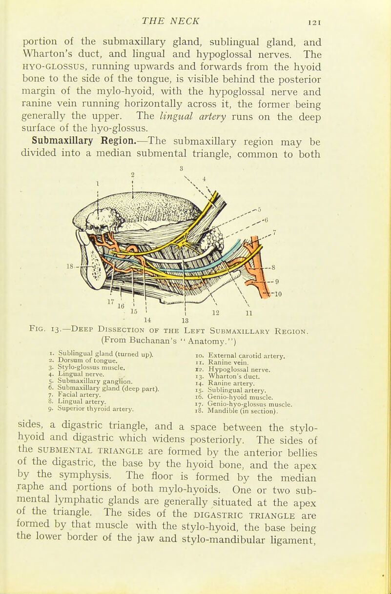 portion of the submaxillary gland, sublingual gland, and Wharton's duct, and lingual and hypoglossal nerves. The HYO-GLOssus, running upwards and forwards from the hyoid bone to the side of the tongue, is visible behind the posterior margin of the mylo-hyoid, with the hypoglossal nerve and ranine vein running horizontally across it, the former being generally the upper. The lingual artery runs on the deep surface of the hyo-glossus. Submaxillary Region.—The submaxillary region may be divided into a median submental triangle, common to both Fig. 13- -Deep Dissection of the (From Buchanan's ' 1. Sublingual gland (turned up). 2. Dorsum of tongue, 3. Stylo-glossus muscle. 4. Lingual nerve. 5. Submaxillary ganglion. 6. Submaxillary gland (deep part). 7. Facial artery. 8. Lingual artery. 9. Superior thyroid artery. Left Submaxillary Region. ' Anatomy.) 10. External carotid artery. 11. Ranine vein. 12. Hypoglossal nerve. 13. Wharton's duct. 14. Ranine artery. 15. .Sublingual artery. 16. Genio-hyoid muscle. 17. Genio-hyo-glossus muscle. 18. Mandible (in section). sides, a digastric triangle, and a space between the stylo- hyoid and digastric which widens posteriorly. The sides of the SUBMENTAL TRIANGLE are formed by the anterior bellies of the digastric, the base by the hyoid bone, and the apex by the symphysis. The floor is formed by the median raphe and portions of both mylo-hyoids. One or two sub- mental lymphatic glands are generally situated at the apex of the triangle. The sides of the digastric triangle are formed by that muscle with the stylo-hyoid, the base being the lower border of the jaw and stylo-mandibular ligament,