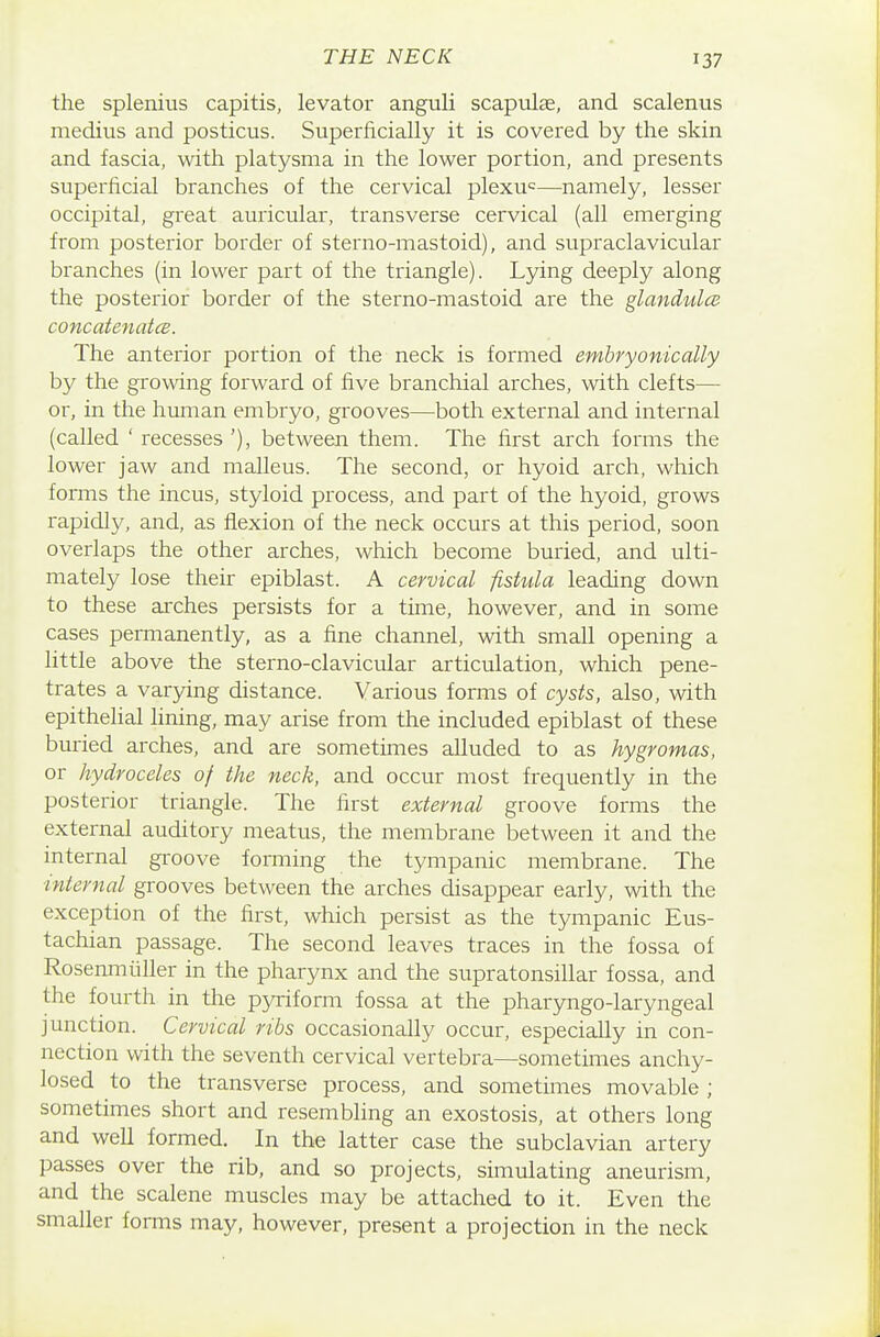 the splenius capitis, levator anguli scapulfe, and scalenus medius and posticus. Superficially it is covered by the skin and fascia, with platysma in the lower portion, and presents superficial branches of the cervical plexu=—namely, lesser occipital, great auricular, transverse cervical (all emerging from posterior border of sterno-mastoid), and supraclavicular branches (in lower part of the triangle). Lying deeply along the posterior border of the sterno-mastoid are the glandules concatenates. The anterior portion of the neck is formed embryonically by the growing forward of five branchial arches, with clefts— or, in the human embryo, grooves—both external and internal (called ' recesses '), between them. The first arch forms the lower jaw and malleus. The second, or hyoid arch, which forms the incus, styloid process, and part of the hyoid, grows rapidly, and, as flexion of the neck occurs at this period, soon overlaps the other arches, which become buried, and ulti- mately lose their epiblast. A cervical fistula leading down to these arches persists for a time, however, and in some cases permanently, as a fine channel, with small opening a little above the sterno-clavicular articulation, which pene- trates a varying distance. Various forms of cysts, also, with epithelial lining, may arise from the included epiblast of these buried arches, and are sometimes alluded to as hygromas, or hydroceles of the neck, and occur most frequently in the posterior triangle. The first external groove forms the external auditory meatus, the membrane between it and the internal groove forming the tympanic membrane. The ■internal grooves between the arches disappear early, with the exception of the first, which persist as the tympanic Eus- tachian passage. The second leaves traces in the fossa of Rosenmiiller in the pharynx and the supratonsillar fossa, and the fourth in the pyriform fossa at the pharyngo-laryngeal junction. Cervical ribs occasionally occur, especially in con- nection with the seventh cervical vertebra—sometimes anchy- losed to the transverse process, and sometimes movable ; sometimes short and resembling an exostosis, at others long and well formed. In the latter case the subclavian artery passes over the rib, and so projects, simulating aneurism, and the scalene muscles may be attached to it. Even the smaller forms may, however, present a projection in the neck
