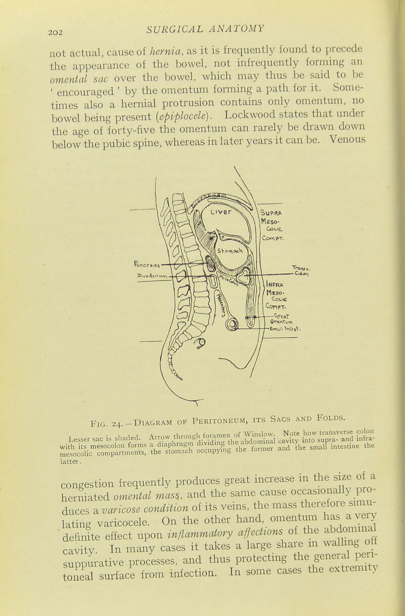 not actual, cause of hernia, as it is frequently found to precede the appearance of the bowel, not infrequently forming an omental sac over the bowel, which may thus .be said to be ' encouraged ' by the omentum forming a path for it. Some- times also a hernial protrusion contains only omentum, no bowel being present [epiplocele). Lockwood states that under the age of forty-five the omentum can rarely be drawn down below the pubic spine, whereas in later years it can be. Venous Fig. 24.-D1AGRAM OF Peritoneum, its Sacs and Folds. Lesser sac is shaded. Arrow ^o.^^—^V^^ ^ i'Xsd inta latter. congestion frequently produces great increase in the size of a herniated omental mas^, and the same cause occasionally pio- duccs a vcncose condMon of its veins, the mass therefore smau- lating varicocele. On the other hand, omentum has ^ver^ ■ defii^te effect upon injiammatory affections of the abdominal cav ty. In many cases it takes a large share m walling off suppurative processes, and thus protecting the general peu- toneaTsurface from infection. In some cases the extremity