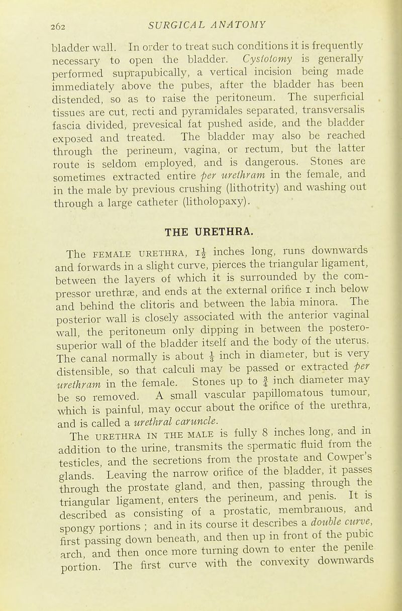 bladder wall. In order to treat such conditions it is frequently necessary to open the bladder. Cysioiomy is generally perfonned suprapubically, a vertical incision being made immediately above the pubes, after the bladder has been distended, so as to raise the peritoneum. The superficial tissues are cut, recti and pyramidales separated, transversalis fascia divided, prevesical fat pushed aside, and the bladder exposed and treated. The bladder may also be reached through the perineum, vagina, or rectum, but the latter route is seldom employed, and is dangerous. Stones are sometimes extracted entire per ureihram in the female, and in the male by previous crushing (lithotrity) and washing out through a large catheter (litholopaxy). THE URETHRA. The FEMALE URETHRA, ij inches long, i-uns downwards and forwards in a slight curve, pierces the triangular ligament, between the layers of which it is surrounded by the com- pressor urethrse, and ends at the external orifice i inch below and behind the clitoris and between the labia minora. The posterior wall is closely associated with the anterior vaginal wall the peritoneum only dipping in between the postero- superior wall of the bladder itself and the body of the uterus. The canal nomally is about i inch in diameter, but is very distensible, so that calculi may be passed or extracted per urethram in the female. Stones up to | inch diameter may be so removed. A small vascular papillomatous tumour, which is painful, may occur about the orifice of the urethra, and is called a urethral caruncle. The URETHRA IN THE MALE is fulW 8 iuches long, and m addition to the urine, transmits the spermatic fluid from the testicles and the secretions from the prostate and Cowper s glands ' Leaving the narrow orifice of the bladder, it passes through the prostate gland, and then, passing through the triangular ligament, enters the perineum, and penis. It is described as consisting of a prostatic, membranous, and spongy portions ; and in its course it describes a double curve, first passing down beneath, and then up in front of the pubic arch and then once more turning do^vn to enter the penile portion The first curve with the convexity dowwards