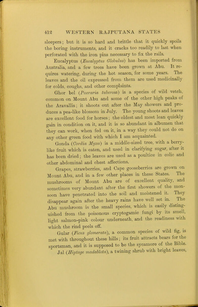sleepers; but it is so hard and brittle that it quickly spoils the boring instruments, and it cracks too readily to last when perforated with the iron pins necessary to fix the rails. Eucalyptus {Eucalyptus Globulus) has been imported from Australia, and a few trees have been grown at Abu. It re- quires watering, during the hot season, for some years. The leaves and the oil expressed from them are used medicinally for colds, coughs, and other complaints. Ghor bel {Piieraria tuUrosa) is a species of wild vetch, common on Mount Abu and some of the other high peaks of the Aravallis; it shoots out after the May showers and pro- duces a pea-like blossom in July. The young shoots and leaves are excellent food for horses; the oldest and most lean quickly gain in condition on it, and it is so abundant in albumen that they can work, when fed on it, in a way they could not do on any other green food with which I am acquainted. Gonda {Cordia Myxa) is a middle-sized tree, with a berry- like fruit which is eaten, and used in clarifying sugar, after it has been dried; the leaves are used as a poultice in colic and other abdominal and chest affections. Grapes, strawberries, and Cape gooseberries are grown on Mount Abu, and in a few other places in these States. The mushrooms of Mount Abu are of excellent quality, and sometimes very abimdant after the first showers of the mon- soon have penetrated into the soil and moistened it. They disappear again after the heavy rains have well set in. ^ The Abu mushroom is the small species, which is easily disting- uished from the poisonous cryptogamic fimgi by its smell, light salmon-pink colour underneath, and the readiness with which the rind peels off. Gular {Fims glomerata), a common species of wild fig, is met with throughout these hills; its fruit attracts bears for the sportsman, and it is supposed to be the sycamore of the Bible. Jal {Hvptage madablota), a tmning shrub with bright leaves.