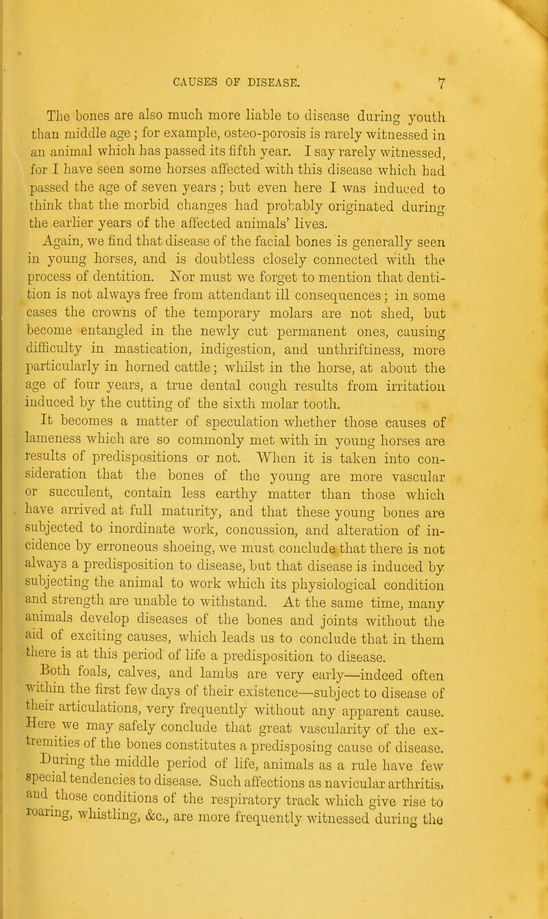 The bones are also much more liable to disease during youth than middle age; for example, osteo-porosis is rarely witnessed in an animal which has passed its fifth year. I say rarely witnessed, for I have seen some horses alfected with this disease which had passed the age of seven years; but even here I was induced to think that the morbid changes had probably originated during the earher years of the affected animals' lives. Again, we find that disease of the facial bones is generally seen in young horses, and is doubtless closely connected with the process of dentition. 'Nor must we forget to mention that denti- tion is not always free from attendant ill consequences; in some cases the crowns of the temporary molars are not shed, but become entangled in the newly cut permanent ones, causing difficulty in mastication, indigestion, and. unthriftiness, more particularly in horned cattle; whilst in the horse, at about the age of four years, a true dental cough results from irritation induced by the cutting of the sixth molar tooth. It becomes a matter of speculation whether those causes of lameness which are so commonly met with in young horses are results of predispositions or not. When it is taken into con- sideration that the bones of the young are more vascular or succulent, contain less earthy matter than those which have arrived at full maturity, and that these young bones are subjected to inordinate work, concussion, and alteration of in- cidence by erroneous shoeing, we must conclude that there is not always a predisposition to disease, but that disease is induced by subjecting the animal to work which its physiological condition and strength are unable to withstand. At the same time, many aiiimals develop diseases of the bones and jomts without the aid of exciting causes, which leads us to conclude that in them there is at this period of life a predisposition to disease. Both foals, calves, and lambs are very early—indeed often witlnn the first few days of their existence—subject to disease of their articulations, very frequently without any apparent cause. Here we may safely conclude that great vascularity of the ex- tremities of the bones constitutes a predisposing cause of disease. During the middle period of life, animals as a rule have few special tendencies to disease. Such affections as navicular arthritis, and those conditions of the respiratory track which give rise to xoarmg, whistling, &c., are more frequently witnessed during the