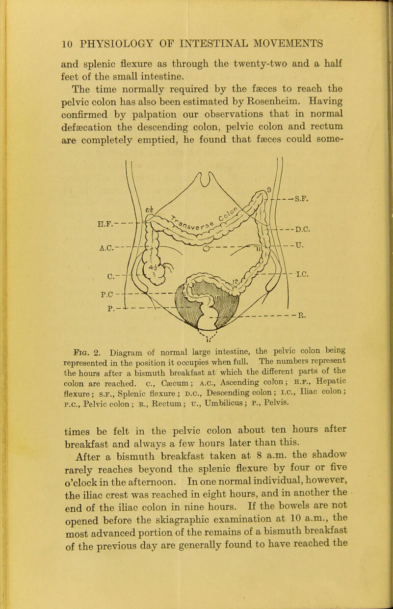 and splenic flexure as through the twenty-two and a half feet of the small intestine. The time normally required by the faeces to reach the pelvic colon has also been estimated by Rosenheim. Having confirmed by palpation our observations that in normal defsecation the descending colon, pelvic colon and rectum are completely emptied, he found that faeces could some- ¥iG. 2. Diagram of normal large intestine, the pelvic colon being represented in the position it occupies when full. The numbers represent the hours after a bismuth breakfast at which the different parts of the colon are reached, c, Csecum; a.c. Ascending colon; h.f.. Hepatic flexure; s.F., Splenic flexure; d.c. Descending colon; i.e., Ihac colon; P.O., Pelvic colon; K., Rectum; tt., Umbihous ; p., Pelvis. times be felt in the pelvic colon about ten hours after breakfast and always a few hours later than this. After a bismuth breakfast taken at 8 a.m. the shadow rarely reaches beyond the splenic flexure by four or five o'clock in the afternoon. In one normal individual, however, the iliac crest was reached in eight hours, and in another the end of the iliac colon in nine hours. If the bowels are not opened before the skiagraphic examination at 10 a.m., the most advanced portion of the remains of a bismuth breakfast of the previous day are generally found to have reached the