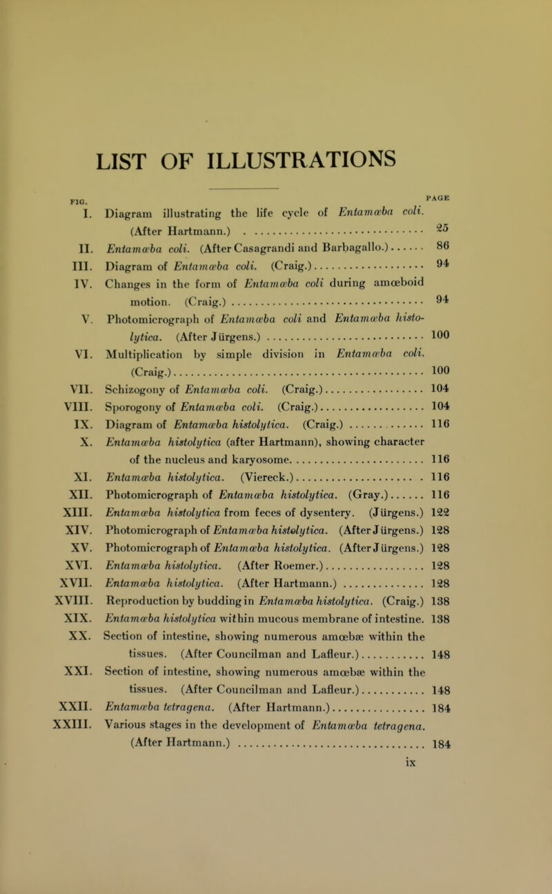 LIST OF ILLUSTRATIONS FIG. I. II. III. IV. VI. VII. VIII. IX. X. XI. XII. XIII. XIV. XV. XVI. XVII. XVIII. XIX. XX. XXI. XXII. XXIII. PAGE Diagram illustrating the life cycle of Entamoeba coli. (After Hartmann.) 25 Entamoeba coli. (After Casagrandi and Barbagallo.) 86 Diagram of Entamoeba coli. (Craig.) 9* Changes in the form of Entama'ba coli during amoeboid motion. (Craig.) 94 Photomicrograph of Entamaiba coli and Entamoeba histo- lytica. (After Jiirgens.) 100 Multiplication by simple division in Entamoeba coli. (Craig.) 100 Schizogony of Entamoeba coli. (Craig.) 104 Sporogony of £n/a7«<i?6a coli. (Craig.) 104 Diagram of Entamoeba histolytica. (Craig.) 116 Entamoeba histolytica (after Hartmann), showing character of the nucleus and karyosome 116 Entamoeba histolytica. (Viereck.) 116 Photomicrograph of Entamoeba histolytica. (Gray.) 116 Entamoeba histolytica from feces of dysentery. (Jiirgens.) 122 Photomicrograph of £n<ama?6a/ii«<o/?/<ica. (After Jiirgens.) 128 Vhotomicrogr&ph of Entamoeba histolytica. (After Jiirgens.) 128 Entamoeba histolytica. (After Roemer.) 128 Entamoeba histolytica. (After Hartmann.) 128 Reproduction by budding in En/amfffca/ii*<o^j/<ica. (Craig.) 138 Entamoeba histolytica within mucous membrane of intestine. 138 Section of intestine, showing numerous amoebae within the tissues. (After Councilman and Lafleur.) 148 Section of intestine, showing numerous amoebae within the tissues. (After Councilman and Lafleur.) 148 Entamoeba tetragena. (After Hartmann.) 184 Various stages in the development of Entamoeba tetragena. (After Hartmann.) 184