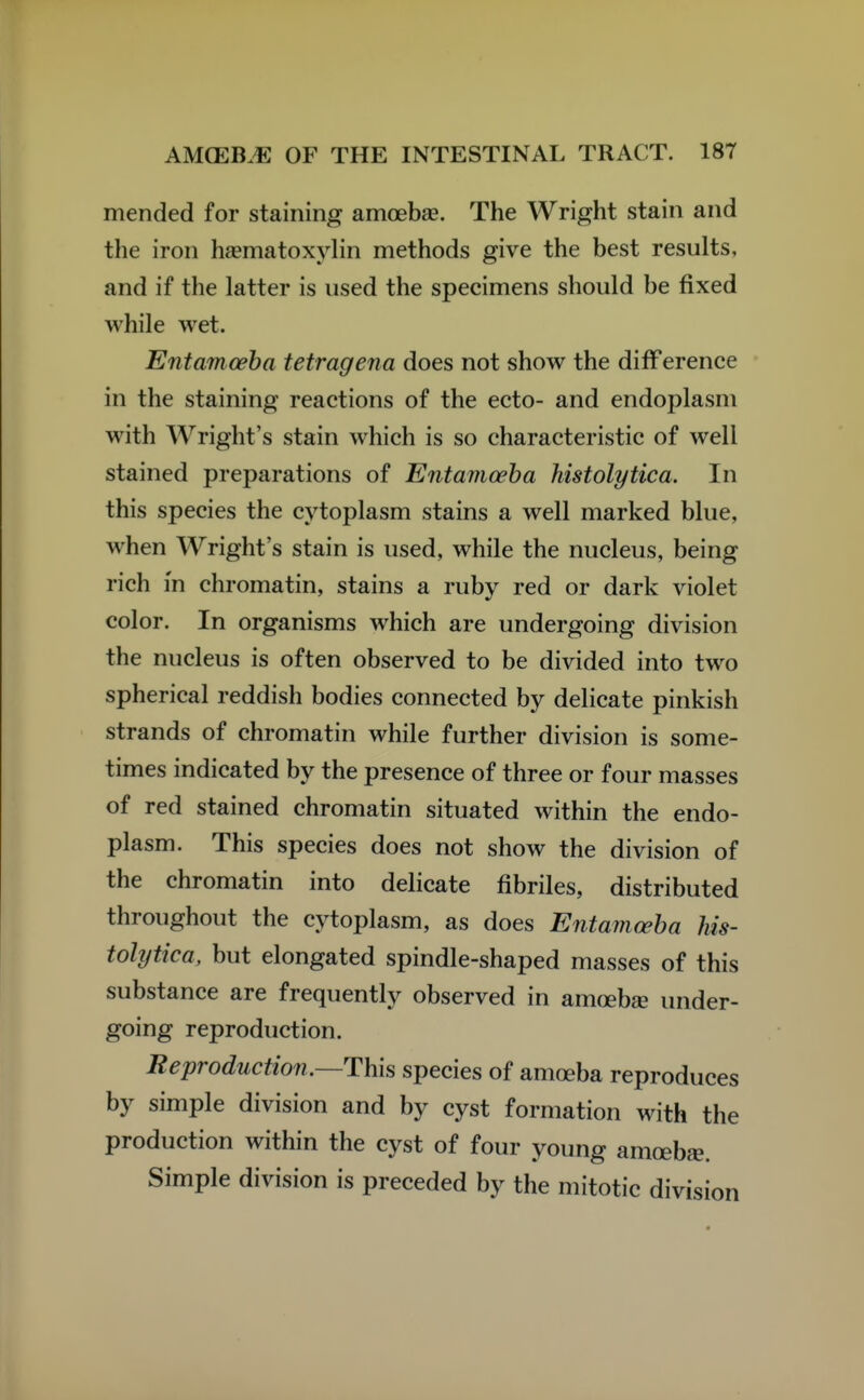 mended for staining amoebae. The Wright stain and the iron hematoxylin methods give the best results, and if the latter is used the specimens should be fixed while wet. Entamoeba tetragena does not show the difference in the staining reactions of the ecto- and endoplasm with Wright's stain which is so characteristic of well stained preparations of Entamoeba histolytica. In this species the cytoplasm stains a well marked blue, when Wright's stain is used, while the nucleus, being rich in chromatin, stains a ruby red or dark violet color. In organisms which are undergoing division the nucleus is often observed to be divided into two spherical reddish bodies connected by delicate pinkish strands of chromatin while further division is some- times indicated by the presence of three or four masses of red stained chromatin situated within the endo- plasm. This species does not show the division of the chromatin into delicate fibriles, distributed throughout the cytoplasm, as does Entamoeba his- tolytica, but elongated spindle-shaped masses of this substance are frequently observed in amoeba under- going reproduction. Reproduction.—This species of amoeba reproduces by simple division and by cyst formation with the production within the cyst of four young amoebge. Simple division is preceded by the mitotic division