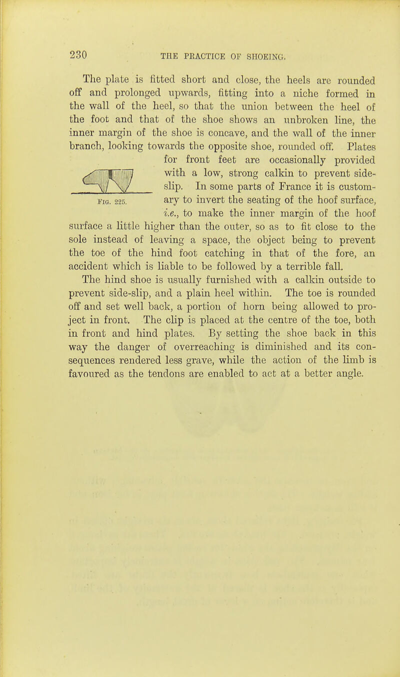 The plate is fitted short and close, the heels are rounded off and prolonged upwards, fitting into a niche formed in the wall of the heel, so that the union between the heel of the foot and that of the shoe shows an unbroken line, the inner margin of the shoe is concave, and the wall of the inner branch, looking towards the opposite shoe, rounded off. Plates for front feet are occasionally provided with a low, strong calkin to prevent side- slip. In some parts of France it is custorn- eio. 225. ary to invert the seating of the hoof surface, i.e., to make the inner margin of the hoof surface a little higher than the outer, so as to fit close to the sole instead of leaving a space, the object being to prevent the toe of the hind foot catching in that of the fore, an accident which is liable to be followed by a terrible fall. The hind shoe is usually furnished with a calkin outside to prevent side-slip, and a plain heel within. The toe is rounded off and set well back, a portion of horn being allowed to pro- ject in front. The clip is placed at the centre of the toe, both in front and hind plates. By setting the shoe back in this way the danger of overreaching is diminished and its con- sequences rendered less grave, while the action of the limb is favoured as the tendons are enabled to act at a better angle.