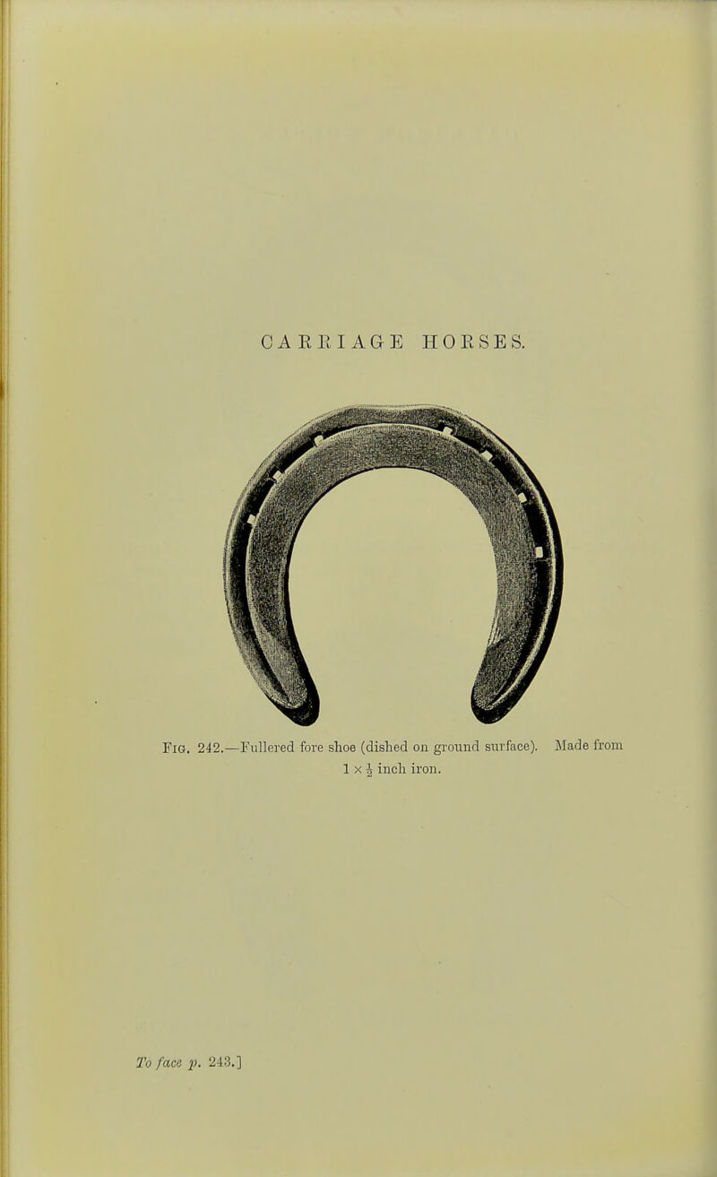 CAE EI AGE HORSES. Fig. 242.—Fullered fore shoe (dished on ground surface). Made from lx| inch iron.