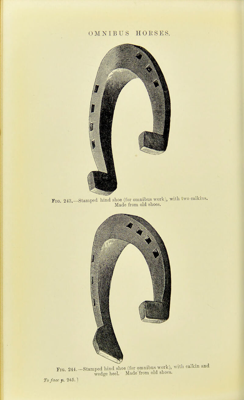 Fig 244.-Stamped hind shoe (for omnibus work), with calkin and wedge heel. Made from old shoes.