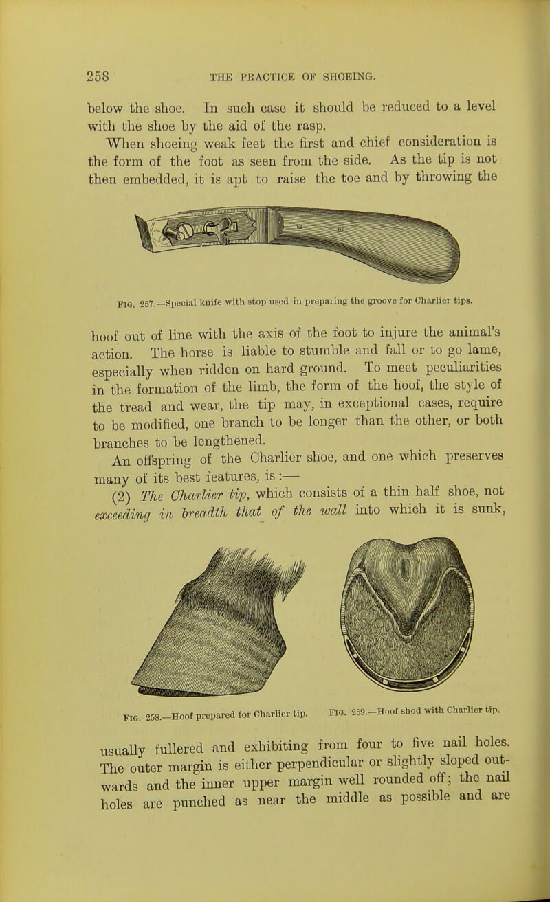 below the shoe. In such case it should be reduced to a level with the shoe by the aid of the rasp. When shoeing weak feet the first and chief consideration is the form of the foot as seen from the side. As the tip is not then embedded, it is apt to raise the toe and by throwing the FIG. 257.—Special kuife with stop used in preparing the groove for Charlier tips. hoof out of line with the axis of the foot to injure the animal's action. The horse is liable to stumble and fall or to go lame, especially when ridden on hard ground. To meet peculiarities in the formation of the limb, the form of the hoof, the style of the tread and wear, the tip may, in exceptional cases, require to be modified, one branch to be longer than the other, or both branches to be lengthened. An offspring of the Charlier shoe, and one which preserves many of its best features, is:— (2) The Charlier tip, which consists of a thin half shoe, not exceeding in breadth that of the wall into which it is sunk, FIG. 258.-Hoof prepared for Charlier tip. Fig. 259,-Hoof shod with Charlier tip. usually fullered and exhibiting from four to five nail holes. The outer margin is either perpendicular or slightly sloped out- wards and the inner upper margin well rounded off; the nail holes are punched as near the middle as possible and are