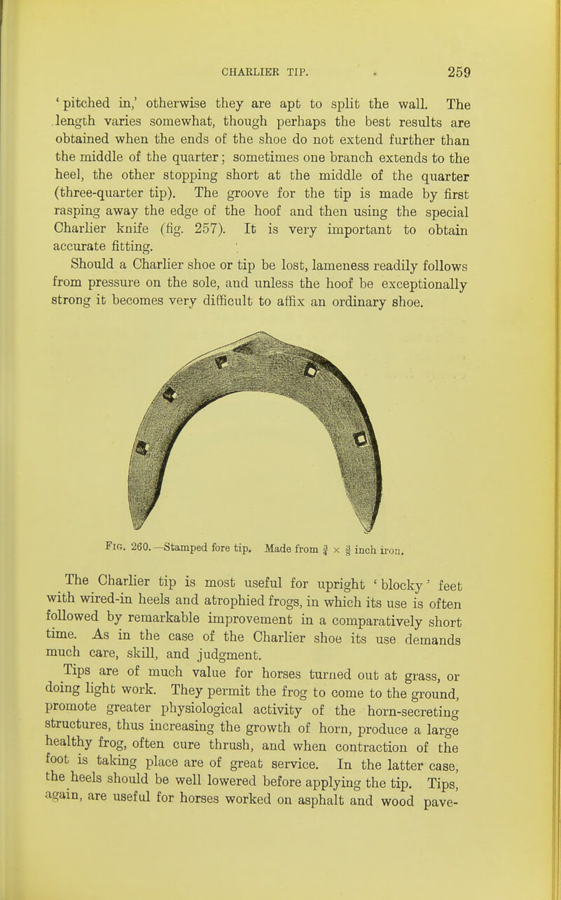 ' pitched in,' otherwise they are apt to split the wall. The length varies somewhat, though perhaps the best results are obtained when the ends of the shoe do not extend further than the middle of the quarter; sometimes one branch extends to the heel, the other stopping short at the middle of the quarter (three-quarter tip). The groove for the tip is made by first rasping away the edge of the hoof and then using the special Charlier knife (fig. 257). It is very important to obtain accurate fitting. Should a Charlier shoe or tip be lost, lameness readily follows from pressure on the sole, and unless the hoof be exceptionally strong it becomes very difficult to affix an ordinary shoe. Fig. 260. —Stamped fore tip. Made from j x f inch iron. The Charlier tip is most useful for upright ' blocky' feet with wired-in heels and atrophied frogs, in which its use is often followed by remarkable improvement in a comparatively short time. As in the case of the Charlier shoe its use demands much care, skill, and judgment. Tips are of much value for horses turned out at grass, or doing light work. They permit the frog to come to the ground, promote greater physiological activity of the horn-secreting structures, thus increasing the growth of horn, produce a large healthy frog, often cure thrush, and when contraction of the foot is taking place are of great service. In the latter case, the heels should be well lowered before applying the tip. Tips, again, are useful for horses worked on asphalt and wood pave-