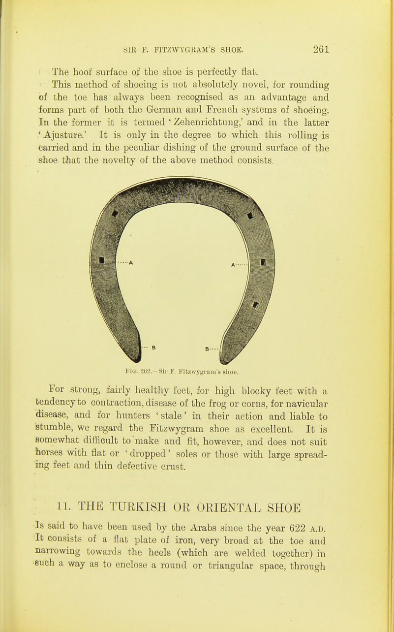 The hoof surface of the shoe is perfectly Hat. This method of shoeing is not absolutely novel, for rounding of the toe has always been recognised as an advantage and forms part of both the German and French systems of shoeing. In the former it is termed ' Zehenrichtung,' and in the latter ' Ajusture.' It is only in the degree to which this rolling is carried and in the peculiar dishing of the ground surface of the shoe that the novelty of the above method consists. b'lQ. 262.—Sir F. B'itzwygram's shoe. For strong, fairly healthy feet, for high blocky feet with a tendency to contraction, disease of the frog or corns, for navicular disease, and for hunters ' stale' in their action and liable to stumble, we regard the Fitzwygram shoe as excellent. It is somewhat difficult to make and fit, however, and does not suit horses with flat or ' dropped' soles or those with large spread- ing feet and thin defective crust. 11. THE TURKISH OR ORIENTAL SHOE Is said to have been used by the Arabs since the year 622 a.d. It consists of a flat plate of iron, very broad at the toe and narrowing towards the heels (which are welded together) in such a way as to enclose a round or triangular space, through
