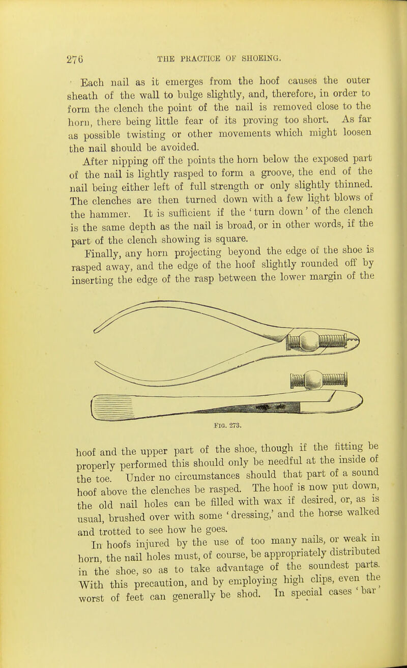 • Each nail as ib emerges from the hoof causes the outer sheath of the wall to bulge slightly, and, therefore, in order to form the clench the point of the nail is removed close to the horn, there being little fear of its proving too short. As far as possible twisting or other movements which might loosen the nail should be avoided. After nipping off the points the horn below the exposed part of the nail is lightly rasped to form a groove, the end of the nail being either left of full strength or only slightly thinned. The clenches are then turned down with a few light blows of the hammer. It is sufficient if the ' turn down' of the clench is the same depth as the nail is broad, or in other words, if the part of the clench showing is square. Finally, any horn projecting beyond the edge of the shoe is rasped away, and the edge of the hoof slightly rounded off by inserting the edge of the rasp between the lower margin of the FIG. 273. hoof and the upper part of the shoe, though if the fitting be properly performed this should only be needful at the inside of the toe Under no circumstances should that part of a sound hoof above the clenches be rasped. The hoof is now put down, the old nail holes can be filled with wax if desired, or, as is usual, brushed over with some 'dressing,' and the horse walked and trotted to see how he goes. In hoofs injured by the use of too many nails, or weak m horn the nail holes must, of course, be appropriately distributed in the shoe, so as to take advantage of the soundest parts. With this precaution, and by employing high clips, even the worst of feet can generally be shod. In special cases bar