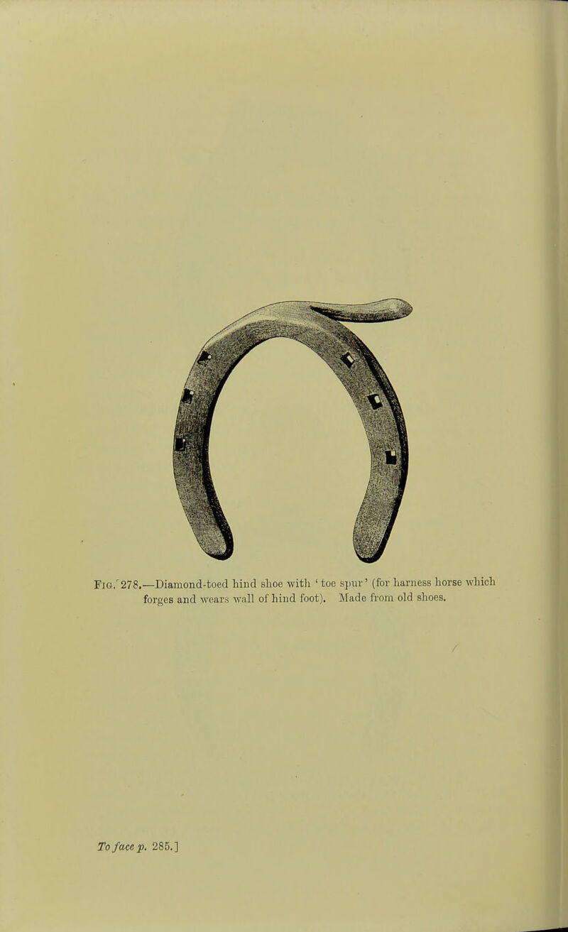 FiG.r278.—Diamond-toed hind shoe with ' toe spur' (for harness horse which forges and wears wall of hind foot). Made from old shoes.