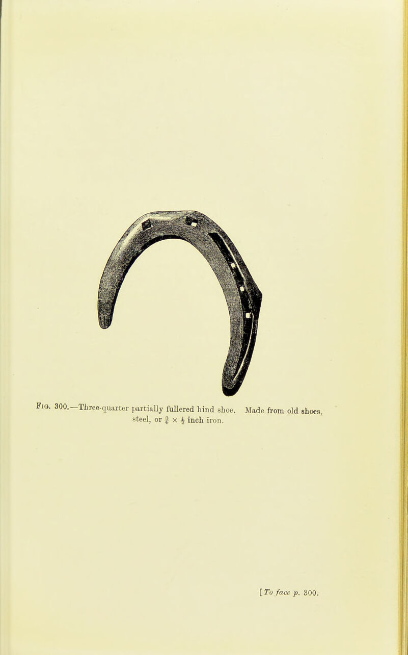 [To face p. 300.