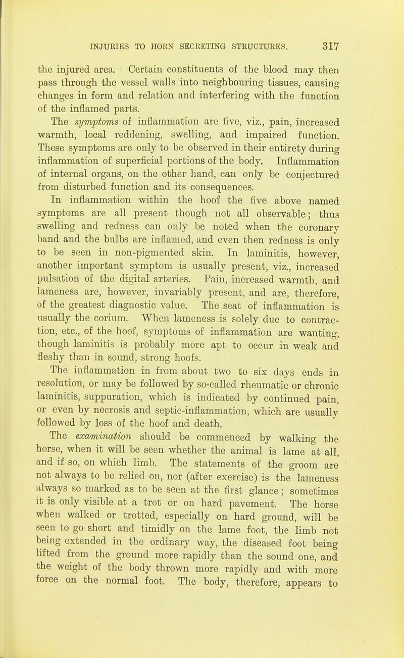 the injured area. Certain constituents of the blood may then pass through the vessel walls into neighbouring tissues, causing changes in form and relation and interfering with the function of the inflamed parts. The symptoms of inflammation are five, viz., pain, increased warmth, local reddening, swelling, and impaired function. These symptoms are only to be observed in their entirety during inflammation of superficial portions of the body. Inflammation of internal organs, on the other hand, can only be conjectured from disturbed function and its consequences. In inflammation within the hoof the five above named symptoms are all present though not all observable; thus swelling and redness can only be noted when the coronary band and the bulbs are inflamed, and even then redness is only to be seen in non-pigmented skin. In laminitis, however, another important symptom is usually present, viz., increased pulsation of the digital arteries. Pain, increased warmth, and lameness are, however, invariably present, and are, therefore, of the greatest diagnostic value. The seat of inflammation is usually the corium. When lameness is solely due to contrac- tion, etc., of the hoof, symptoms of inflammation are wanting, though laminitis is probably more apt to occur in weak and fleshy than in sound, strong hoofs. The inflammation in from about two to six days ends in resolution, or may be followed by so-called rheumatic or chronic laminitis, suppuration, which is indicated by continued pain, or even by necrosis and septic-inflammation, which are usually followed by loss of the hoof and death. The examination should be commenced by walking the horse, when it will be seen whether the animal is lame at all, and if so, on which limb. The statements of the groom are not always to be relied on, nor (after exercise) is the lameness always so marked as to be seen at the first glance; sometimes it is only visible at a trot or on hard pavement. The horse when walked or trotted, especially on hard ground, will be seen to go short and timidly on the lame foot, the limb not being extended in the ordinary way, the diseased foot being lifted from the ground more rapidly than the sound one, and the weight of the body thrown more rapidly and with more force on the normal foot. The body, therefore, appears to