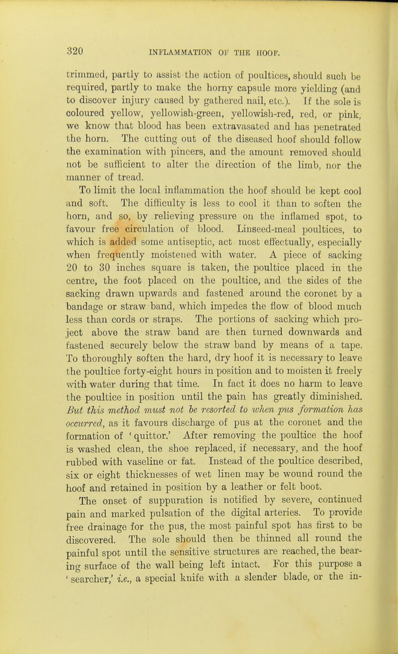 trimmed, partly to assist the action of poultices, should such be required, partly to make the homy capsule more yielding (and to discover injury caused by gathered nail, etc.). If the sole is coloured yellow, yellowish-green, yellowish-red, red, or pink, we know that blood has been extravasated and has penetrated the horn. The cutting out of the diseased hoof should follow the examination with pincers, and the amount removed should not be sufficient to alter the direction of the limb, nor the manner of tread. To limit the local inflammation the hoof should be kept cool and soft. The difficulty is less to cool it than to soften the horn, and so, by relieving pressure on the inflamed spot, to favour free circulation of blood. Linseed-meal poultices, to which is added some antiseptic, act most effectually, especially when frequently moistened with water. A piece of sacking 20 to 30 inches square is taken, the poultice placed in the centre, the foot placed on the poultice, and the sides of the sacking drawn upwards and fastened around the coronet by a bandage or straw band, which impedes the flow of blood much less than cords or straps. The portions of sacking which pro- ject above the straw band are then turned downwards and fastened securely below the straw band by means of a tape. To thoroughly soften the hard, dry hoof it is necessary to leave the poultice forty-eight hours in position and to moisten it freely with water during that time. In fact it does no harm to leave the poultice in position until the pain has greatly diminished. But this method must not he resorted to when pus formation has occurred, as it favours discharge of pus at the coronet and the formation of 1 quittor.' After removing the poultice the hoof is washed clean, the shoe replaced, if necessary, and the hoof rubbed with vaseline or fat. Instead of the poultice described, six or eight thicknesses of wet linen may be wound round the hoof and retained in position by a leather or felt boot. The onset of suppuration is notified by severe, continued pain and marked pulsation of the digital arteries. To provide free drainage for the pus, the most painful spot has first to be discovered. The sole should then be thinned all round the painful spot until the sensitive structures are reached, the bear- ing surface of the wall being left intact. For this purpose a * searcher,' i.e., a special knife with a slender blade, or the in-