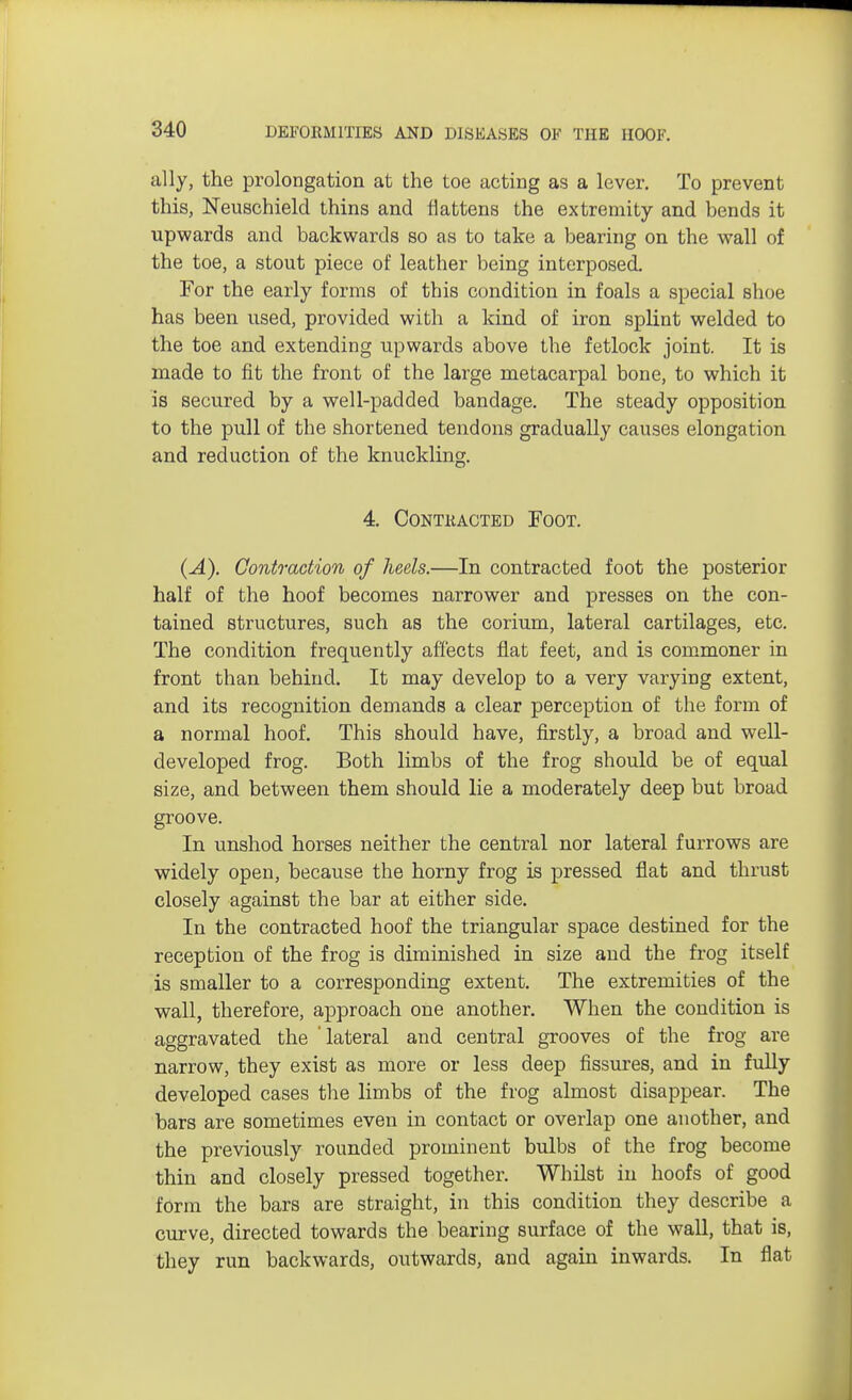 ally, the prolongation at the toe acting as a lever. To prevent this, Neuschield thins and flattens the extremity and bends it upwards and backwards so as to take a bearing on the wall of the toe, a stout piece of leather being interposed. For the early forms of this condition in foals a special shoe has been used, provided with a kind of iron splint welded to the toe and extending upwards above the fetlock joint. It is made to fit the front of the large metacarpal bone, to which it is secured by a well-padded bandage. The steady opposition to the pull of the shortened tendons gradually causes elongation and reduction of the knuckling. 4. Contracted Foot. (A). Contraction of heels.—In contracted foot the posterior half of the hoof becomes narrower and presses on the con- tained structures, such as the corium, lateral cartilages, etc. The condition frequently affects flat feet, and is commoner in front than behind. It may develop to a very varying extent, and its recognition demands a clear perception of the form of a normal hoof. This should have, firstly, a broad and well- developed frog. Both limbs of the frog should be of equal size, and between them should lie a moderately deep but broad groove. In unshod horses neither the central nor lateral furrows are widely open, because the horny frog is pressed flat and thrust closely against the bar at either side. In the contracted hoof the triangular space destined for the reception of the frog is diminished in size and the frog itself is smaller to a corresponding extent. The extremities of the wall, therefore, approach one another. When the condition is aggravated the 'lateral and central grooves of the frog are narrow, they exist as more or less deep fissures, and in fully developed cases the limbs of the frog almost disappear. The bars are sometimes even in contact or overlap one another, and the previously rounded prominent bulbs of the frog become thin and closely pressed together. Whilst in hoofs of good form the bars are straight, in this condition they describe a curve, directed towards the bearing surface of the wall, that is, they run backwards, outwards, and again inwards. In flat