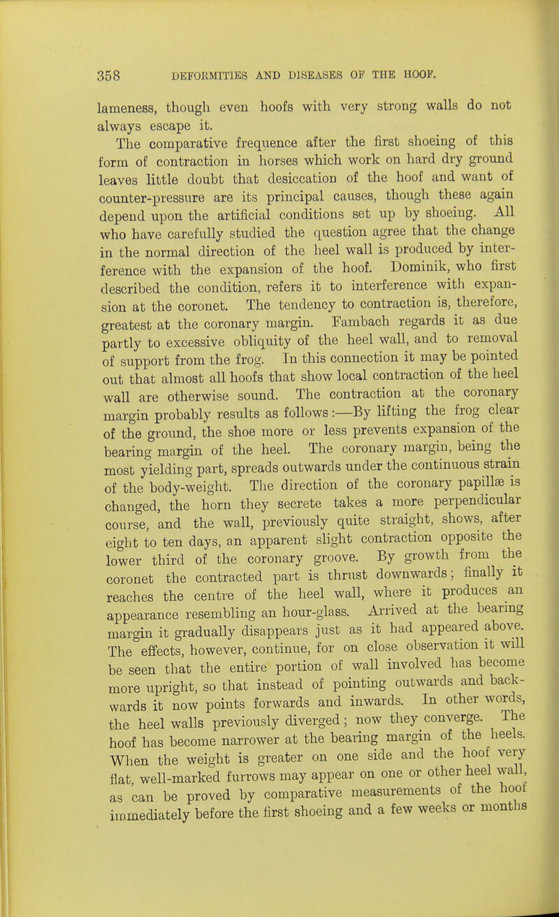 lameness, though even hoofs with very strong walls do not always escape it. The comparative frequence after the first shoeing of this form of contraction in horses which work on hard dry ground leaves little doubt that desiccation of the hoof and want of counter-pressure are its principal causes, though these again depend upon the artificial conditions set up by shoeing. All who have carefully studied the question agree that the change in the normal direction of the heel wall is produced by inter- ference with the expansion of the hoof. Dominik, who first described the condition, refers it to interference with expan- sion at the coronet. The tendency to contraction is, therefore, greatest at the coronary margin. Fambach regards it as due partly to excessive obliquity of the heel wall, and to removal of support from the frog. In this connection it may be pointed out that almost all hoofs that show local contraction of the heel wall are otherwise sound. The contraction at the coronary margin probably results as follows:—By lifting the frog clear of the ground, the shoe more or less prevents expansion of the bearing margin of the heel. The coronary margin, being the most yielding part, spreads outwards under the continuous strain of the body-weight. The direction of the coronary papillae is changed, the horn they secrete takes a more perpendicular course, and the wall, previously quite straight, shows, after eight to ten days, an apparent slight contraction opposite the lower third of the coronary groove. By growth from the coronet the contracted part is thrust downwards; finally it reaches the centre of the heel wall, where it produces an appearance resembling an hour-glass. Arrived at the bearing margin it gradually disappears just as it had appeared above. The effects, however, continue, for on close observation it will be seen that the entire portion of wall involved has become more upright, so that instead of pointing outwards and back- wards it now points forwards and inwards. In other words, the heel walls previously diverged; now they converge. The hoof has become narrower at the bearing margin of the heels. When the weight is greater on one side and the hoof very flat well-marked furrows may appear on one or other heel wall, as can be proved by comparative measurements of the hoot immediately before the first shoeing and a few weeks or months