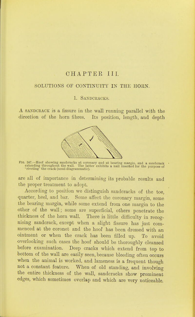 CHAPTER III. SOLUTIONS OF CONTINUITY IN THE HORN. 1. Sandcracks. A sandcrack is a fissure in the wall running parallel with the direction of the horn fibres. Its position, length, and depth Fig. 347.—Hoof showing sandcracks at coronary and at bearing margin, and a sandcrack extending throughout the wall. The latter exhibits a nail inserted for the purpose of ' riveting' the crack (semi-diagrammatic). are all of importance in determining its probable results and the proper treatment to adopt. According to position we distinguish sandcracks of the toe, quarter, heel, and bar. Some affect the coronary margin, some the bearing margin, while some extend from one margin to the other of the wall; some are superficial, others penetrate the thickness of the horn wall. There is little difficulty in recog- nising sandcrack, except when a slight fissure has just com- menced at the coronet and the hoof has been dressed with an ointment or when the crack has been filled up. To avoid overlooking such cases the hoof should be thoroughly cleansed before examination. Deep cracks which extend from top to bottom of the wall are easily seen, because bleeding often occurs when the animal is worked, and lameness is a frequent though not a constant feature. When of old standing, and involving the entire thickness of the wall, sandcracks show prominent edges, which sometimes overlap and which are very noticeable.