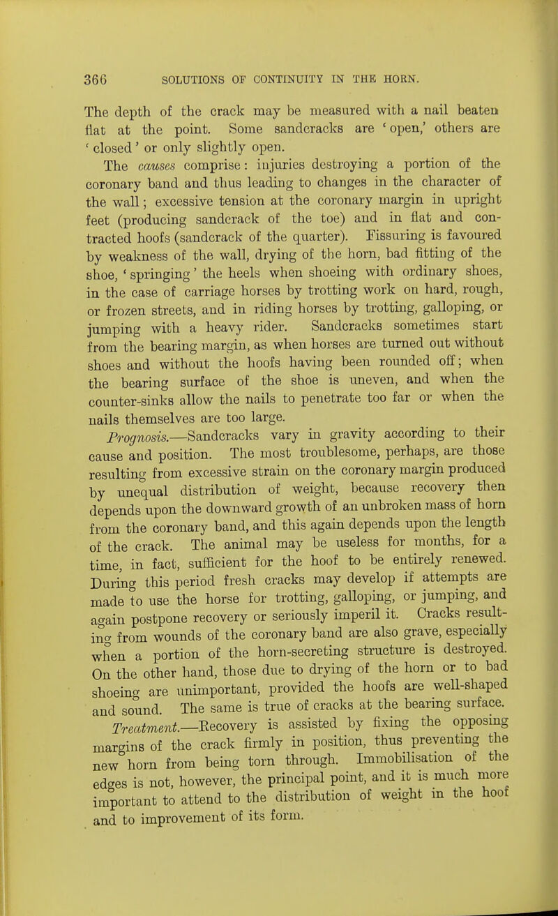 The depth of the crack may be measured with a nail beaten fiat at the point. Some sandcracks are ' open,' others are ' closed' or only slightly open. The causes comprise: injuries destroying a portion of the coronary band and thus leading to changes in the character of the wall; excessive tension at the coronary margin in upright feet (producing sandcrack of the toe) and in flat and con- tracted hoofs (sandcrack of the quarter). Fissuring is favoured by weakness of the wall, drying of the horn, bad fitting of the shoe, ' springing' the heels when shoeing with ordinary shoes, in the case of carriage horses by trotting work on hard, rough, or frozen streets, and in riding horses by trotting, galloping, or jumping with a heavy rider. Sandcracks sometimes start from the bearing margin, as when horses are turned out without shoes and without the hoofs having been rounded off; when the bearing surface of the shoe is uneven, and when the counter-sinks allow the nails to penetrate too far or when the nails themselves are too large. Prognosis.—Sandcracks vary in gravity according to their cause and position. The most troublesome, perhaps, are those resulting from excessive strain on the coronary margin produced by unequal distribution of weight, because recovery then depends upon the downward growth of an unbroken mass of horn from the coronary band, and this again depends upon the length of the crack. The animal may be useless for months, for a time, in fact, sufficient for the hoof to be entirely renewed. During this period fresh cracks may develop if attempts are made to use the horse for trotting, galloping, or jumping, and again postpone recovery or seriously imperil it. Cracks result- ina from wounds of the coronary band are also grave, especially when a portion of the horn-secreting structure is destroyed. On the other hand, those due to drying of the horn or to bad shoeing are unimportant, provided the hoofs are well-shaped and sound. The same is true of cracks at the bearing surface. Treatment—Recovery is assisted by fixing the opposing margins of the crack firmly in position, thus preventing the new horn from being torn through. Immobilisation of the edges is not, however, the principal point, and it is much more important to attend to the distribution of weight in the hoof and to improvement of its form.