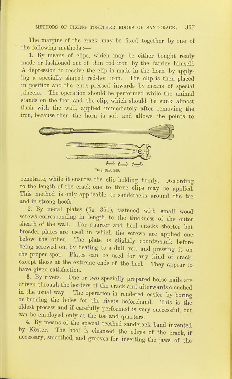 The margins of the crack may be fixed together by one of the following methods :— 1. By means of clips, which may be either bought ready made or fashioned out of thin rod iron by the farrier himself. A depression to receive the clip is made in the horn by apply- ing a specially shaped red-hot iron. The clip is then placed in position and the ends pressed inwards by means of special pincers. The operation should be performed while the animal stands on the foot, and the clip, which should be sunk almost flush with the wall, applied immediately after removing the iron, because then the horn is soft and allows the points to m i ^ 4=D C—^ Figs. 348, 349. penetrate, while it ensures the clip holding firmly. According to the length of the crack one to three clips may be applied. This method is only applicable to sandcracks around the toe and in strong hoofs. 2. By metal plates (fig. 351), fastened with small wood screws corresponding in length to the thickness of the outer sheath of the wall. For quarter and heel cracks shorter but broader plates are used, in which the screws are applied one' below the other. The plate is slightly countersunk before being screwed on, by heating to a dull red and pressing it on the proper spot. Plates can be used for any kind of crack, except those at the extreme ends of the heel. They appear to', have given satisfaction. 3. By rivets. One or two specially prepared horse nails are driven through the borders of the crack and afterwards clenched in the usual way. The operation is rendered easier by boring or burning the holes for the rivets beforehand. This is the oldest process and if carefully performed is very successful, but can be employed only at the toe and quarters. 4. By means of the special teethed sandcrack band invented by Koster. The hoof is cleansed, the edges of the crack if necessary, smoothed, and grooves for inserting the jaws of the