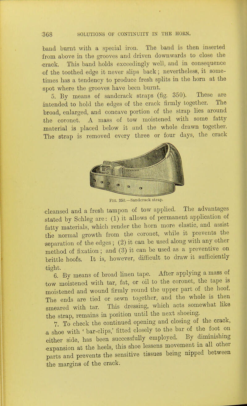 baud burnt with a special iron. The band is then inserted irom above in the grooves and driven downwards to close the •crack. This band holds exceedingly well, and in consequence ■of the toothed edge it never slips back; nevertheless, it some- times has a tendency to produce fresh splits in the horn at the spot where the grooves have been burnt. 5. By means of sandcrack straps (fig. 350). These are intended to hold the edges of the crack firmly together. The broad, enlarged, and concave portion of the strap lies around the coronet. A mass of tow moistened with some fatty material is placed below it and the whole drawn together. The strap is removed every three or four days, the crack Fig. 350.—Sandcrack strap. cleansed and a fresh tampon of tow applied. The advantages stated by Schleg are: (1) it allows of permanent application of fatty materials, which render the horn more elastic, and assist the normal growth from the coronet, while it prevents the •separation of the edges ; (2) it can be used along with any other method of fixation; and (3) it can be used as a preventive on brittle hoofs. It is, however, difficult to draw it sufficiently tight. . 6. By means of broad linen tape. After applying a mass of tow moistened with tar, fat, or oil to the coronet, the tape is moistened and wound firmly round the upper part of the hoof. The ends are tied or sewn together, and the whole is then smeared with tar. This dressing, which acts somewhat like the strap, remains in position until the next shoeing. 7 To check the continued opening and closing of the crack, a shoe with ' bar-clips,' fitted closely to the bar of the foot on either side, has been successfully employed. By diminishing expansion at the heels, this shoe lessens movement in all other parts and prevents the sensitive tissues being nipped between the margins of the crack.