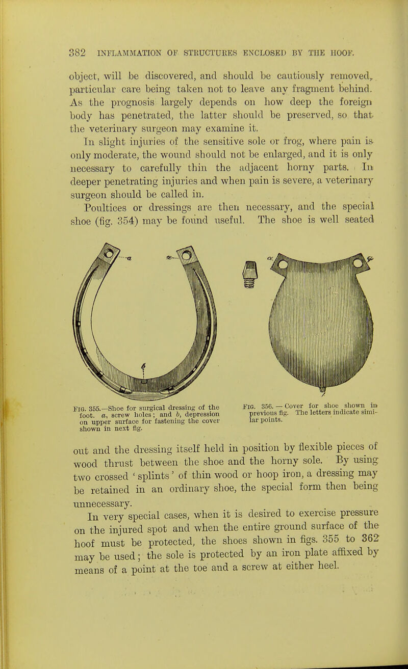 object, will be discovered, and should be cautiously removed, particular care being taken not to leave any fragment behind. As the prognosis largely depends on how deep the foreign body has penetrated, the latter should be preserved, so that the veterinary surgeon may examine it. In slight injuries of the sensitive sole or frog, where pain is only moderate, the wound should not be enlarged, and it is only necessary to carefully thin the adjacent horny parts, i In deeper penetrating injuries and when pain is severe, a veterinary surgeon should be called in. Poultices or dressings are then necessary, and the special shoe (fig. 354) may be fovind useful. The shoe is well seated out and the dressing itself held in position by flexible pieces of wood thrust between the shoe and the horny sole. By using two crossed ' splints' of thin wood or hoop iron, a dressing may be retained in an ordinary shoe, the special form then being unnecessary. In very special cases, when it is desired to exercise pressure on the injured spot and when the entire ground surface of the hoof must be protected, the shoes shown in figs. 355 to 362 may be used; the sole is protected by an iron plate affixed by means of a point at the toe and a screw at either heel. Fig. 355.—Shoe for surgical dressing of the foot, a, screw holes; and b, depression on upper surface for fastening the cover shown in next fig. Jt'IG. 350. — Cover for shoe shown ii> previous fig. The letters indicate simi- lar points.
