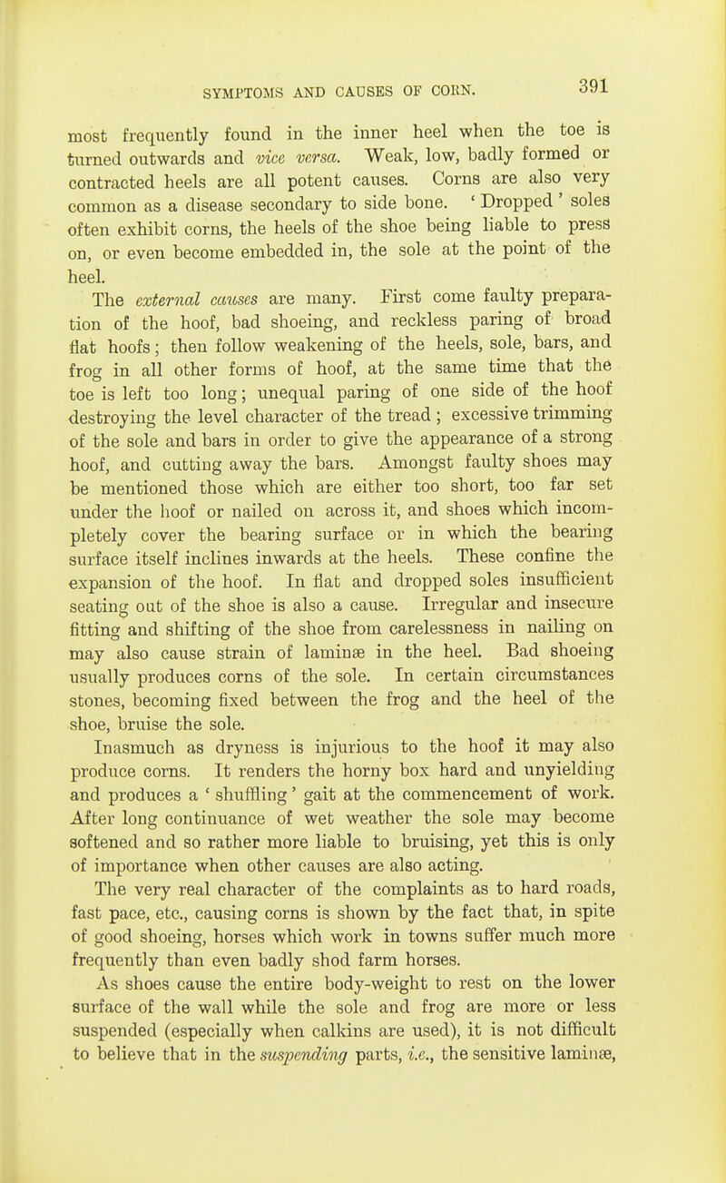 SYMPTOMS AND CAUSES OF CORN. most frequently found in the inner heel when the toe is turned outwards and vice versa. Weak, low, badly formed or contracted heels are all potent causes. Corns are also very common as a disease secondary to side bone. ' Dropped ' soles often exhibit corns, the heels of the shoe being liable to press on, or even become embedded in, the sole at the point of the heel. The external causes are many. First come faulty prepara- tion of the hoof, bad shoeing, and reckless paring of broad flat hoofs; then follow weakening of the heels, sole, bars, and frog in all other forms of hoof, at the same time that the toe is left too long; unequal paring of one side of the hoof destroying the level character of the tread ; excessive trimming of the sole and bars in order to give the appearance of a strong hoof, and cutting away the bars. Amongst faulty shoes may be mentioned those which are either too short, too far set under the hoof or nailed on across it, and shoes which incom- pletely cover the bearing surface or in which the bearing surface itself inclines inwards at the heels. These confine the expansion of the hoof. In flat and dropped soles insufficient seating out of the shoe is also a cause. Irregular and insecure fitting and shifting of the shoe from carelessness in nailing on may also cause strain of lamina? in the heel. Bad shoeing usually produces corns of the sole. In certain circumstances stones, becoming fixed between the frog and the heel of the shoe, bruise the sole. Inasmuch as dryness is injurious to the hoof it may also produce corns. It renders the horny box hard and unyielding and produces a ' shuffling' gait at the commencement of work. After long continuance of wet weather the sole may become softened and so rather more liable to bruising, yet this is only of importance when other causes are also acting. The very real character of the complaints as to hard roads, fast pace, etc., causing corns is shown by the fact that, in spite of good shoeing, horses which work in towns suffer much more frequently than even badly shod farm horses. As shoes cause the entire body-weight to rest on the lower surface of the wall while the sole and frog are more or less suspended (especially when calkins are used), it is not difficult to believe that in the suspending parts, i.e., the sensitive lamina?,