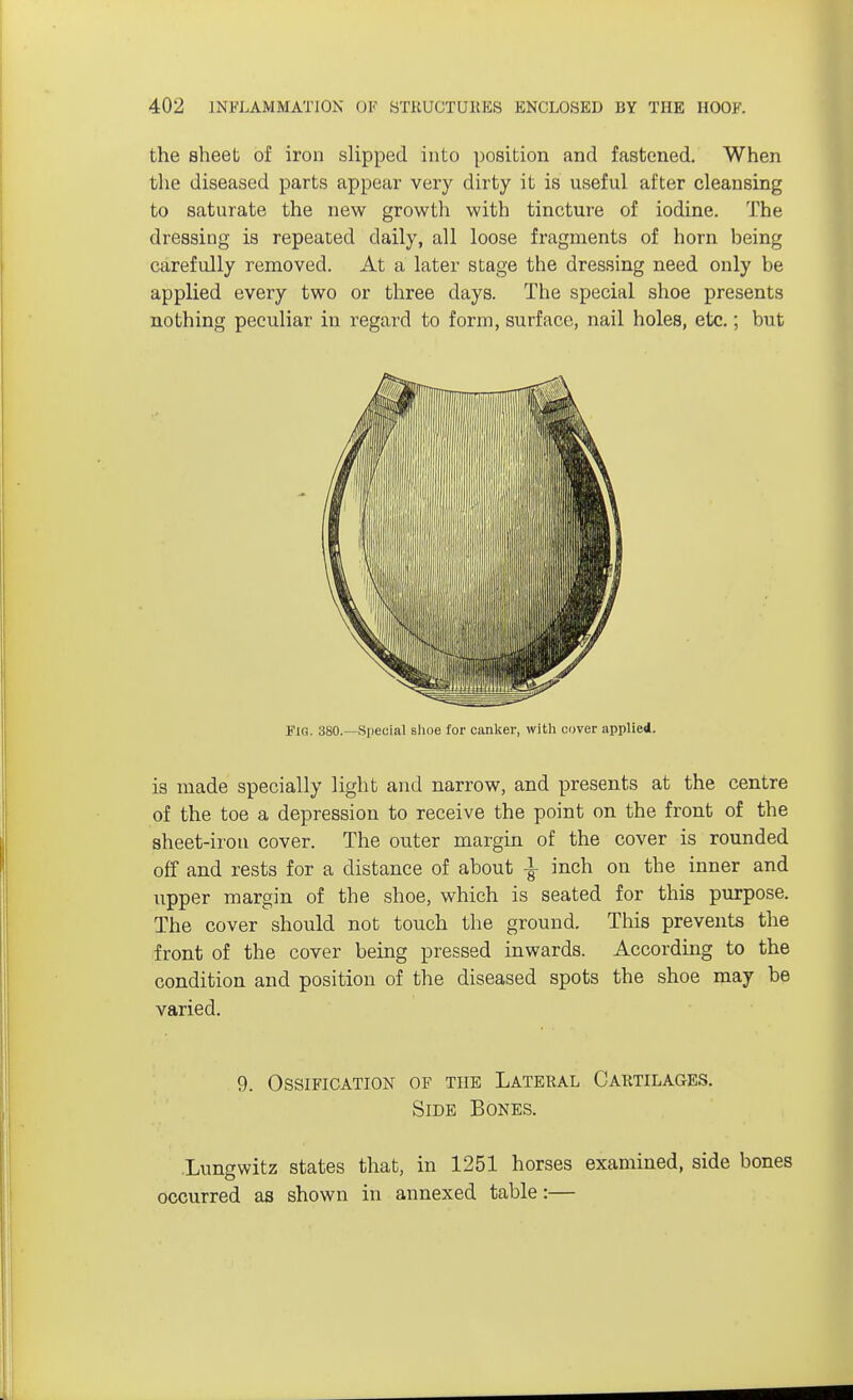 the sheet of iron slipped into position and fastened. When the diseased parts appear very dirty it is useful after cleansing to saturate the new growth with tincture of iodine. The dressing is repeated daily, all loose fragments of horn being carefully removed. At a later stage the dressing need only be applied every two or three days. The special shoe presents nothing peculiar in regard to form, surface, nail holes, etc.; but Fig. 380.—Special shoe for canker, with cover applied. is made specially light and narrow, and presents at the centre of the toe a depression to receive the point on the front of the sheet-iron cover. The outer margin of the cover is rounded off and rests for a distance of about % inch on the inner and upper margin of the shoe, which is seated for this purpose. The cover should not touch the ground. This prevents the front of the cover being pressed inwards. According to the condition and position of the diseased spots the shoe may be varied. 9. Ossification of the Lateral Cartilages. Side Bones. Lungwitz states that, in 1251 horses examined, side bones occurred as shown in annexed table:—