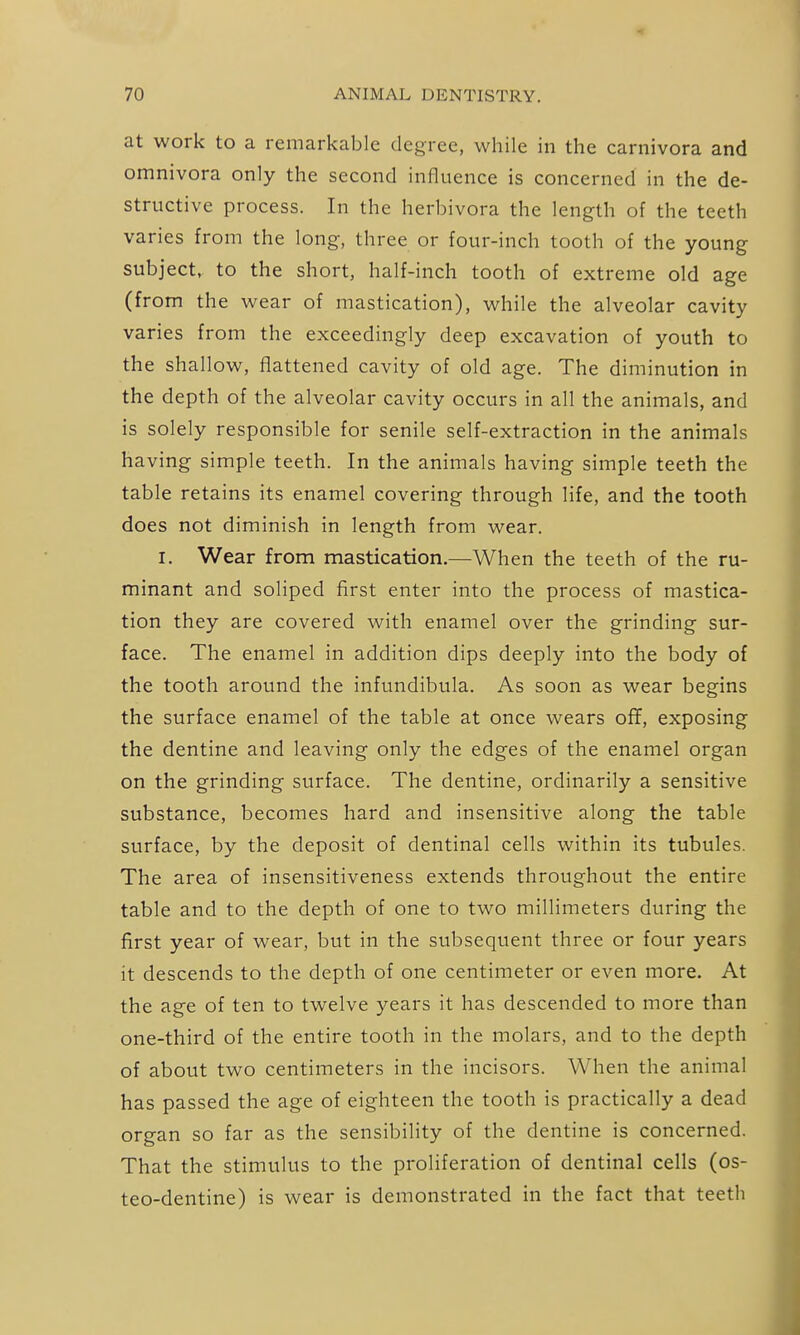 at work to a remarkable degree, while in the carnivora and omnivora only the second influence is concerned in the de- structive process. In the herbivora the length of the teeth varies from the long, three or four-inch tooth of the young subject, to the short, half-inch tooth of extreme old age (from the wear of mastication), while the alveolar cavity varies from the exceedingly deep excavation of youth to the shallow, flattened cavity of old age. The diminution in the depth of the alveolar cavity occurs in all the animals, and is solely responsible for senile self-extraction in the animals having simple teeth. In the animals having simple teeth the table retains its enamel covering through life, and the tooth does not diminish in length from wear. I. Wear from mastication.—When the teeth of the ru- minant and soliped first enter into the process of mastica- tion they are covered with enamel over the grinding sur- face. The enamel in addition dips deeply into the body of the tooth around the infundibula. As soon as wear begins the surface enamel of the table at once wears off, exposing the dentine and leaving only the edges of the enamel organ on the grinding surface. The dentine, ordinarily a sensitive substance, becomes hard and insensitive along the table surface, by the deposit of dentinal cells within its tubules. The area of insensitiveness extends throughout the entire table and to the depth of one to two millimeters during the first year of wear, but in the subsequent three or four years it descends to the depth of one centimeter or even more. At the age of ten to twelve years it has descended to more than one-third of the entire tooth in the molars, and to the depth of about two centimeters in the incisors. When the animal has passed the age of eighteen the tooth is practically a dead organ so far as the sensibility of the dentine is concerned. That the stimulus to the proliferation of dentinal cells (os- teo-dentine) is wear is demonstrated in the fact that teeth