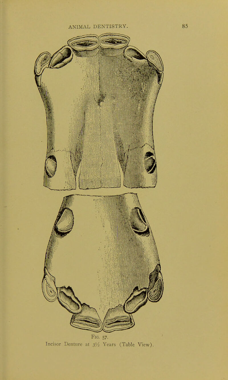 Fig. 57.