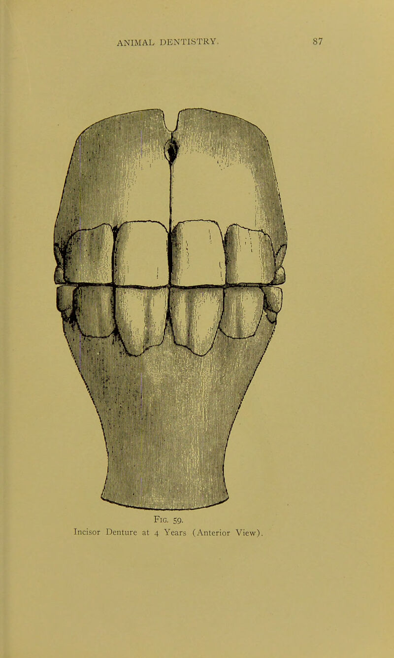 Fig. 59.