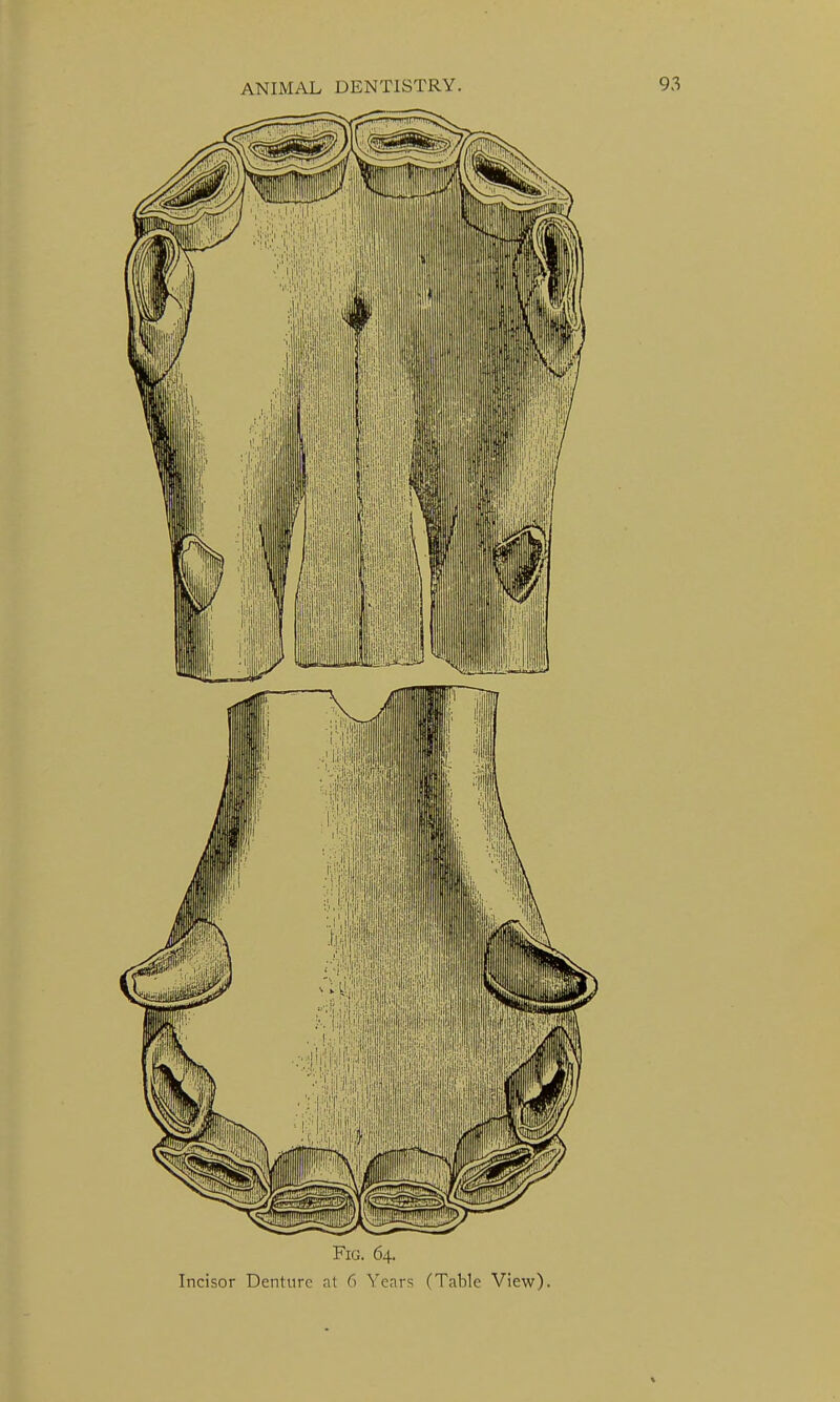 Fig. 64.