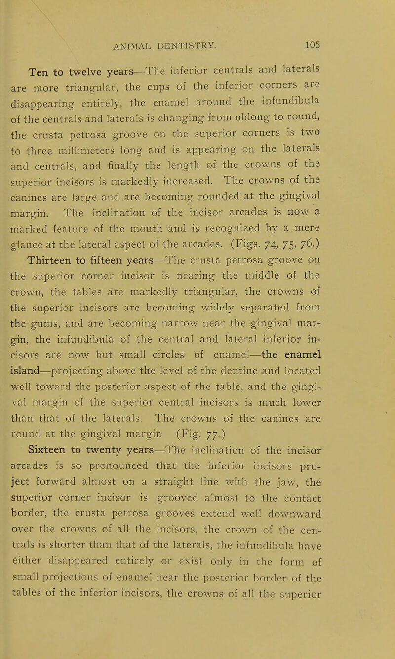 Ten to twelve years—The inferior centrals and laterals are more triang-ular, the cups of the inferior corners are disappearing- entirely, the enamel around the infundibula of the centrals and laterals is changing from oblong to round, the crusta petrosa groove on the superior corners is two to three millimeters long and is appearing on the laterals and centrals, and finally the length of the crowns of the superior incisors is markedly increased. The crowns of the canines are large and are becoming rounded at the gingival margin. The inclination of the incisor arcades is now a marked feature of the mouth and is recognized by a mere glance at the lateral aspect of the arcades. (Figs. 74, 75, 76.) Thirteen to fifteen years—The crusta petrosa groove on the superior corner incisor is nearing the middle of the crown, the tables are markedly triangular, the crowns of the superior incisors are becoming widely separated from the gums, and are becoming narrow near the gingival mar- gin, the infundibula of the central and lateral inferior in- cisors are now but small circles of enamel—the enamel island—projecting above the level of the dentine and located well toward the posterior aspect of the table, and the gingi- val margin of the superior central incisors is much lower than that of the laterals. The crowns of the canines are round at the gingival margin (Fig. 77.) Sixteen to twenty years—The inclination of the incisor arcades is so pronounced that the inferior incisors pro- ject forward almost on a straight line with the jaw, the superior corner incisor is grooved almost to the contact border, the crusta petrosa grooves extend well downward over the crowns of all the incisors, the crown of the cen- trals is shorter than that of the laterals, the infundibula have either disappeared entirely or exist only in the form of small projections of enamel near the posterior border of the tables of the inferior incisors, the crowns of all the superior