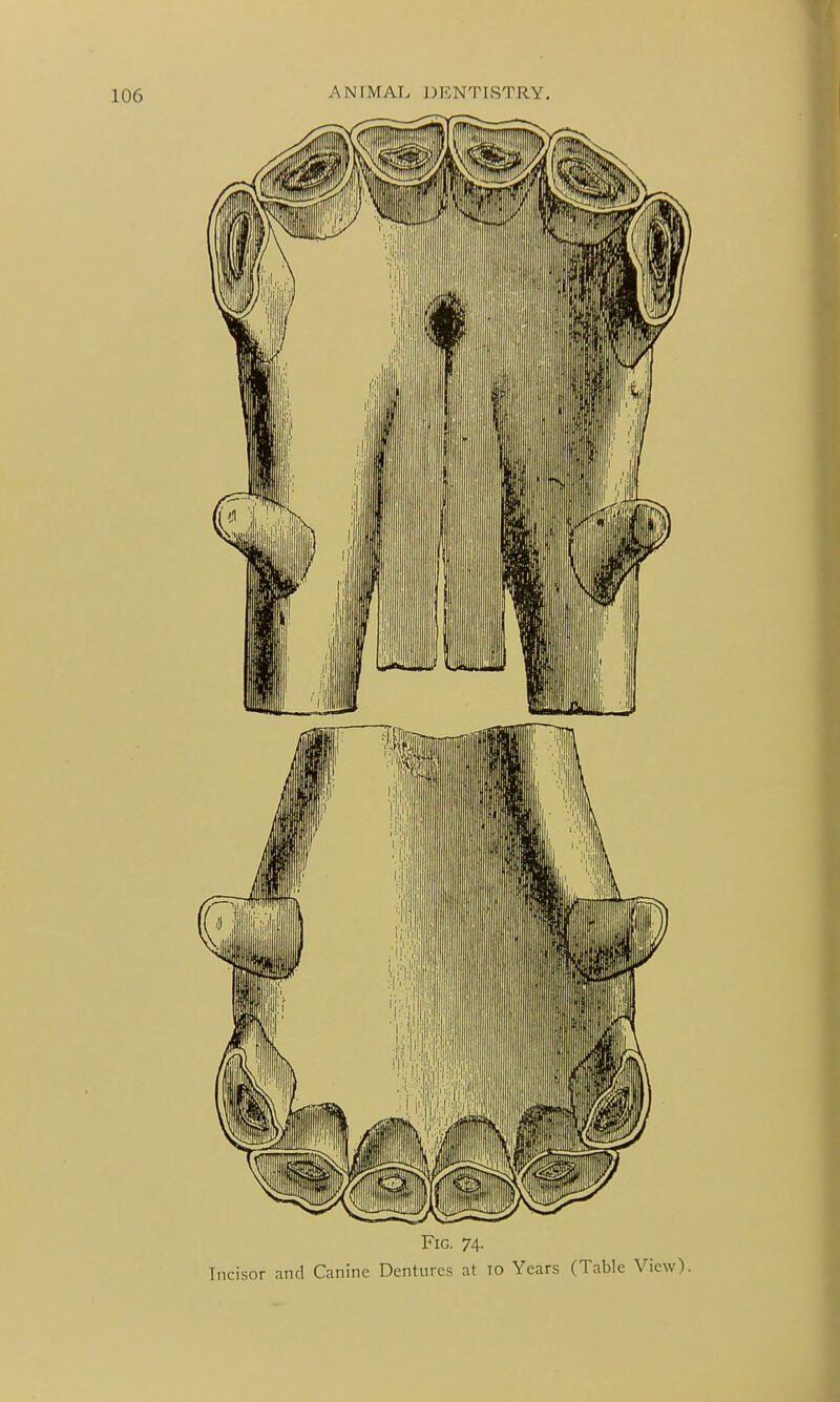 Fig. 74.