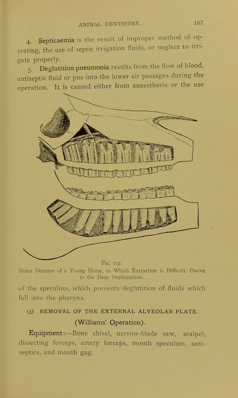 4. Septicaemia is the result of improper method of op- erating, the use of septic irrigation fluids, or neglect to irri- gate properly. 5. Deglutition pneumonia results from the flow of blood, antiseptic fluid or pus into the lower air passages during the operation. It is caused either from anaesthesia or the use Fig. 117. Molar Denture of a Young Horse, in Which Extraction is Difficult, Owing to the Deep Implantation. of the speculum, which prevents deglutition of fluids which fall into the pharynx. (3) REMOVAL OF THE EXTERNAL ALVEOLAR PLATE. (WiHiams' Operation). Equipment:—Bone chisel, narrow-blade saw, scalpel, dissecting forceps, artery forceps, mouth speculum, anti- septics, and mouth gag.