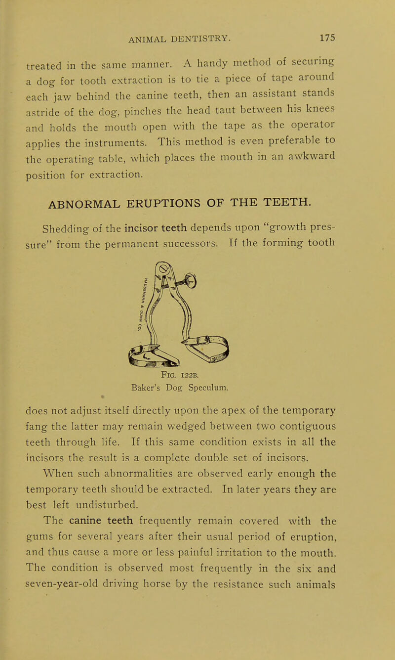 treated in the same manner. A handy method of securing a doo- for tooth extraction is to tie a piece of tape around each jaw behind the canine teeth, then an assistant stands astride of the dog, pinches the head taut between his knees and holds the mouth open with the tape as the operator applies the instruments. This method is even preferable to the operating table, which places the mouth in an awkward position for extraction. ABNORMAL ERUPTIONS OF THE TEETH. Shedding of the incisor teeth depends upon growth pres- sure from the permanent successors. If the forming tooth Fig. I22B. Baker's Dog Speculum. • does not adjust itself directly upon the apex of the temporary fang the latter may remain wedged between two contiguous teeth through life. If this same condition exists in all the incisors the result is a complete double set of incisors. When such abnormalities are observed early enough the temporary teeth should be extracted. In later years they are best left undisturbed. The canine teeth frequently remain covered with the gums for several years after their usual period of eruption, and thus cause a more or less painful irritation to the mouth. The condition is observed most frequently in the six and seven-year-old driving horse by the resistance such animals