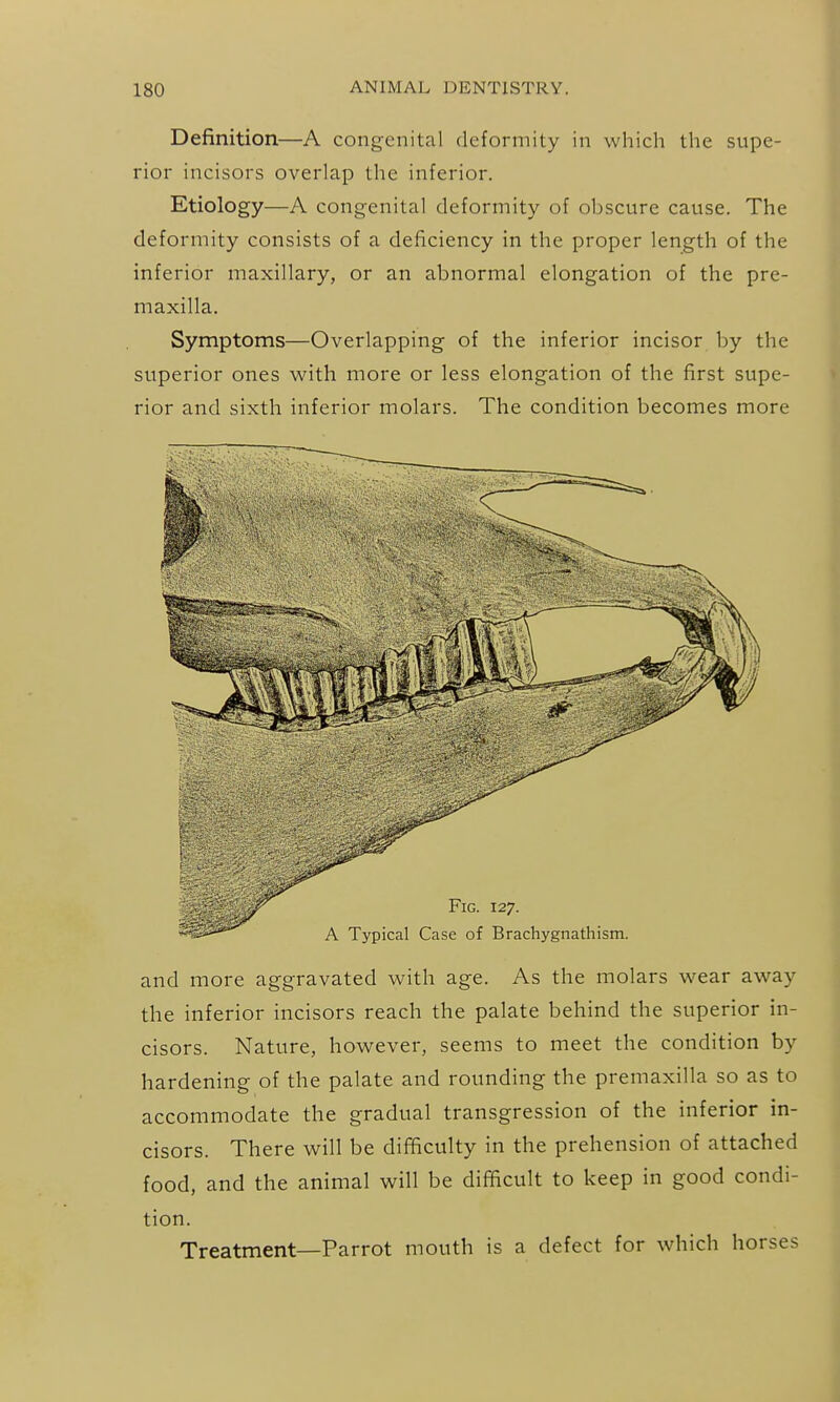 Definition—A congenital deformity in which the supe- rior incisors overlap the inferior. Etiology—A congenital deformity of obscure cause. The deformity consists of a deficiency in the proper length of the inferior maxillary, or an abnormal elongation of the pre- maxilla. Symptoms—Overlapping of the inferior incisor by the superior ones with more or less elongation of the first supe- rior and sixth inferior molars. The condition becomes more and more aggravated with age. As the molars wear away the inferior incisors reach the palate behind the superior in- cisors. Nature, however, seems to meet the condition by hardening of the palate and rounding the premaxilla so as to accommodate the gradual transgression of the inferior in- cisors. There will be difficulty in the prehension of attached food, and the animal will be difficult to keep in good condi- tion. Treatment—Parrot mouth is a defect for which horses