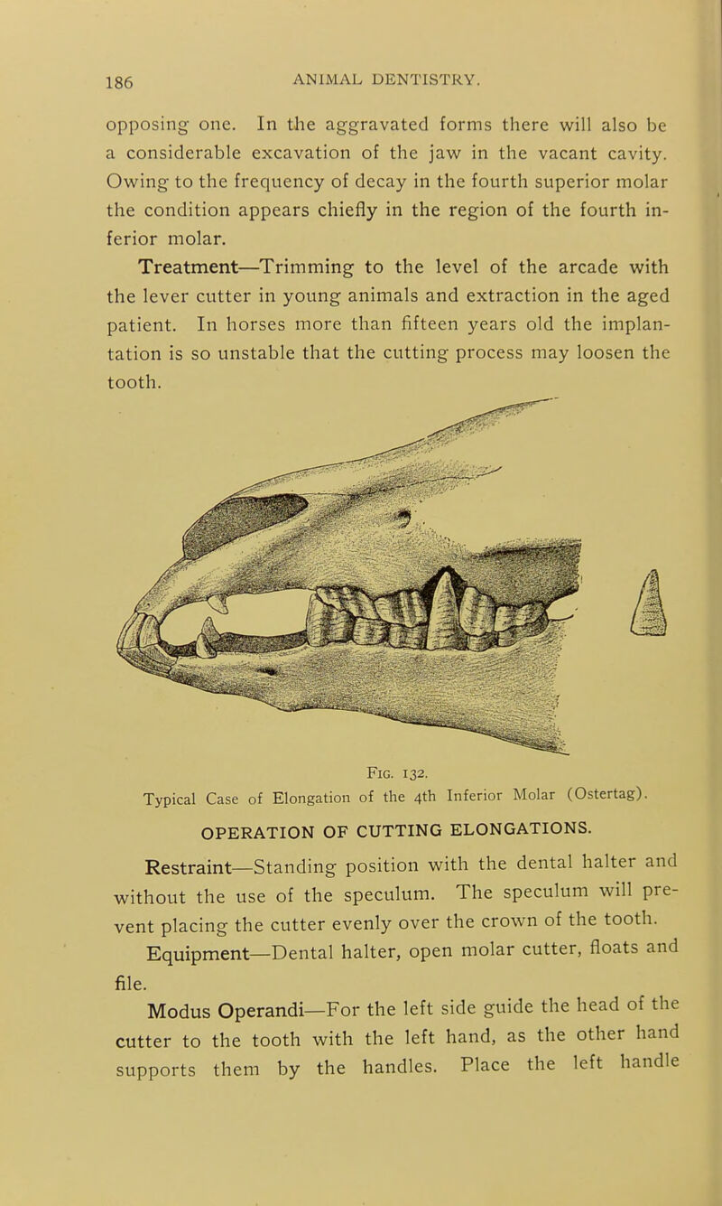 opposing one. In the aggravated forms there will also be a considerable excavation of the jaw in the vacant cavity. Owing to the frequency of decay in the fourth superior molar the condition appears chiefly in the region of the fourth in- ferior molar. Treatment—Trimming to the level of the arcade with the lever cutter in young animals and extraction in the aged patient. In horses more than fifteen years old the implan- tation is so unstable that the cutting process may loosen the tooth. Fig. 132. Typical Case of Elongation of the 4th Inferior Molar (Ostertag). OPERATION OF CUTTING ELONGATIONS. Restraint—Standing position with the dental halter and without the use of the speculum. The speculum will pre- vent placing the cutter evenly over the crown of the tooth. Equipment—Dental halter, open molar cutter, floats and file. Modus Operandi—For the left side guide the head of the cutter to the tooth with the left hand, as the other hand supports them by the handles. Place the left handle