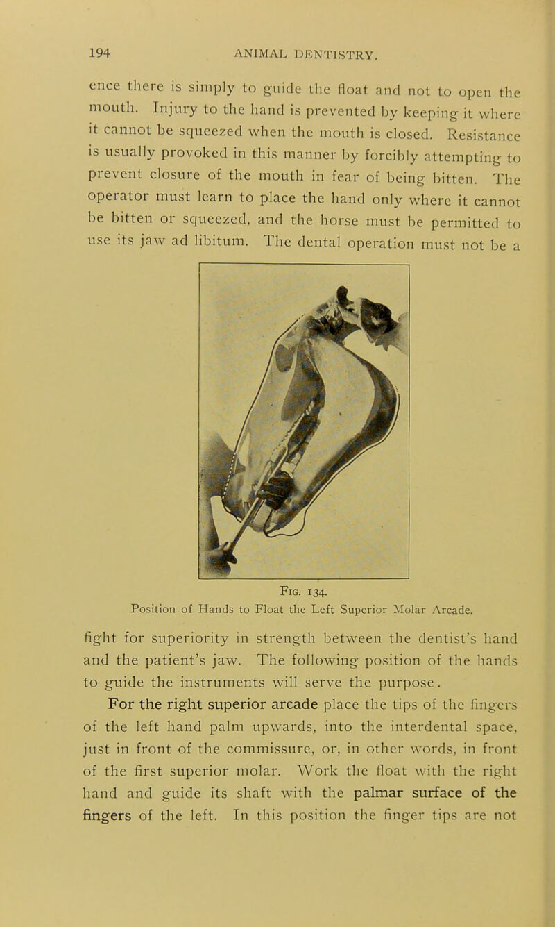 ence there is simply to guide the float and not to open the mouth. Injury to the hand is prevented by keeping it where it cannot be squeezed when the mouth is closed. Resistance is usually provoked in this manner by forcibly attempting to prevent closure of the mouth in fear of being bitten. The operator must learn to place the hand only where it cannot be bitten or squeezed, and the horse must be permitted to use its jaw ad libitum. The dental operation must not be a Fig. 134. Position of Hands to Float the Left Superior Molar Arcade. fight for superiority in strength between the dentist's hand and the patient's jaw. The following position of the hands to guide the instruments will serve the purpose. For the right superior arcade place the tips of the fingers of the left hand palm upwards, into the interdental space, just in front of the commissure, or, in other words, in front of the first superior molar. Work the float with the right hand and guide its shaft with the palmar surface of the fingers of the left. In this position the finger tips are not