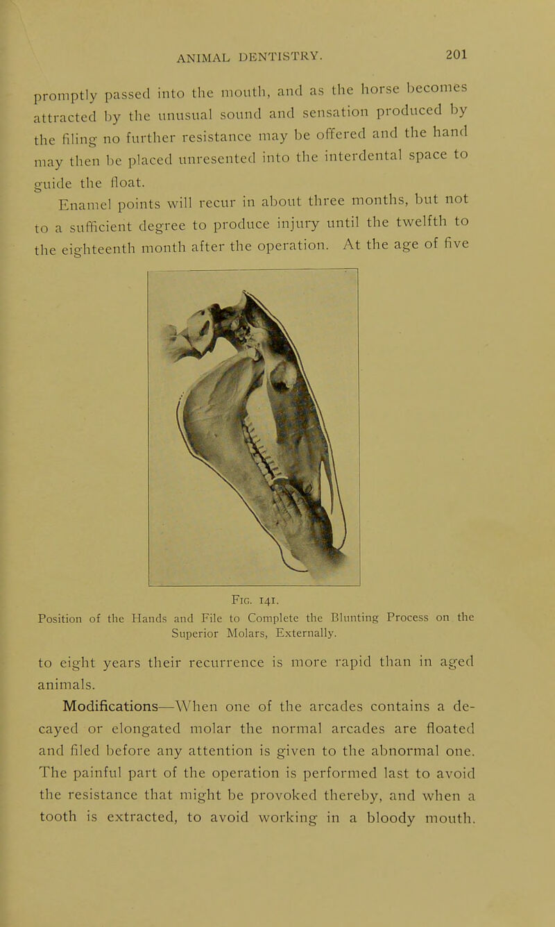 promptly passed into the mouth, and as the horse becomes attracted by the unusual sound and sensation produced by the filing- no further resistance may be offered and the hand may then be placed unresented into the interdental space to guide the float. Enamel points will recur in about three months, but not to a sufficient degree to produce injury until the twelfth to the eighteenth month after the operation. At the age of five Fig. 141. Position of the Hands and File to Complete the Blunting Process on the Superior Molars, Externally. to eight years their recurrence is more rapid than in aged animals. Modifications—When one of the arcades contains a de- cayed or elongated molar the normal arcades are floated and filed before any attention is given to the abnormal one. The painful part of the operation is performed last to avoid the resistance that might be provoked thereby, and when a tooth is extracted, to avoid working in a bloody mouth.