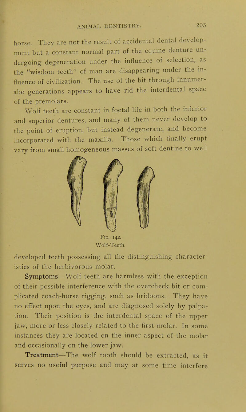 horse. They are not the result of accidental dental develop- ment but a constant normal part of the equine denture un- dero-oine defeneration under the influence of selection, as the wisdom teeth of man are disappearing under the in- fluence of civilization. The use of the bit through innumer- abe generations appears to have rid the interdental space of the premolars. Wolf teeth are constant in foetal life in both the inferior and superior dentures, and many of them never develop to the point of eruption, but instead degenerate, and become incorporated with the maxilla. Those which finally erupt vary from small homogeneous masses of soft dentine to well developed teeth possessing all the distinguishing character- istics of the herbivorous molar. Symptoms—Wolf teeth are harmless with the exception of their possible interference with the overclieck bit or com- plicated coach-horse rigging, such as bridoons. They have no effect upon the eyes, and are diagnosed solely by palpa- tion. Their position is the interdental space of the upper jaw, more or less closely related to the first molar. In some instances they are located on the inner aspect of the molar and occasionally on the lower jaw. Treatment—The wolf tooth should be extracted, as it serves no useful purpose and may at some time interfere Fig. 142. Wolf-Teeth,