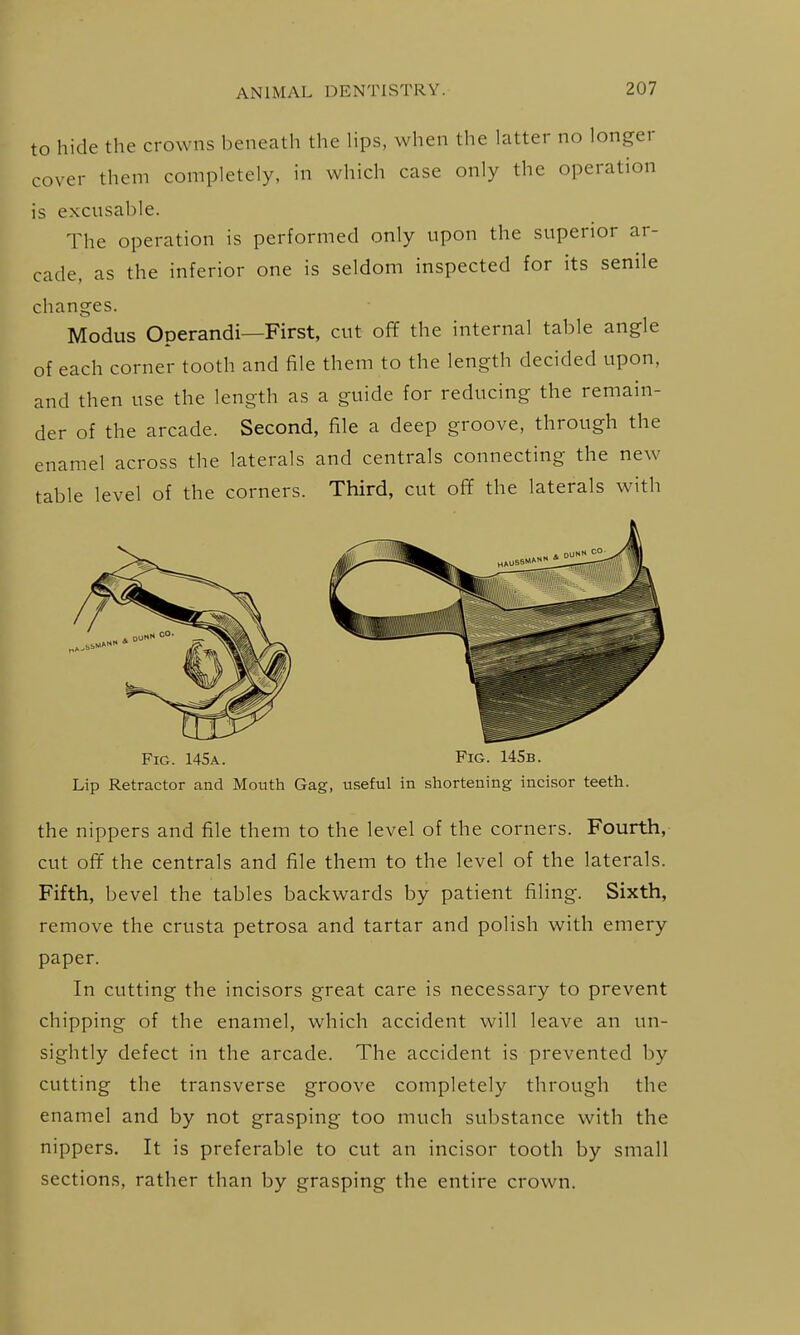 to hide the crowns beneath the lips, when the latter no longer cover them completely, in which case only the operation is excusable. The operation is performed only upon the superior ar- cade, as the inferior one is seldom inspected for its senile changes. Modus Operandi—First, cut off the internal table angle of each corner tooth and file them to the length decided upon, and then use the length as a guide for reducing the remain- der of the arcade. Second, file a deep groove, through the enamel across the laterals and centrals connecting the new table level of the corners. Third, cut off the laterals with Fig. 145 a. Fig. 145b. Lip Retractor and Mouth Gag, useful in shortening incisor teeth. the nippers and file them to the level of the corners. Fourth, cut off the centrals and file them to the level of the laterals. Fifth, bevel the tables backwards by patient filing. Sixth, remove the crusta petrosa and tartar and polish with emery paper. In cutting the incisors great care is necessary to prevent chipping of the enamel, which accident will leave an un- sightly defect in the arcade. The accident is prevented by cutting the transverse groove completely through the enamel and by not grasping too much substance with the nippers. It is preferable to cut an incisor tooth by small sections, rather than by grasping the entire crown.