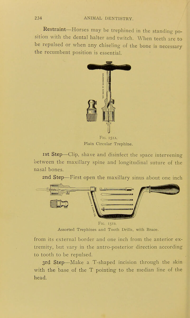 Restraint—Horses may be trephined in the standing po- sition with the dental halter and twitch. When teeth are to be repulsed or when any chiseling of the bone is necessary the recumbent position is essential. Fig. 151 a. Plain Circular Trephine. ist Step—Clip, shave and disinfect the space intervening between the maxillary spine and longitudinal suture of the nasal bones. 2nd Step—First open the maxillary sinus about one inch Fig. 151B. Assorted Trephines and Tooth Drills, with Brace. from its external border and one inch from the anterior ex- tremity, but vary in the antro-posterior direction according to tooth to be repulsed. 3rd Step—Make a T-shaped incision through the skin with the base of the T pointing to the median line of the head.