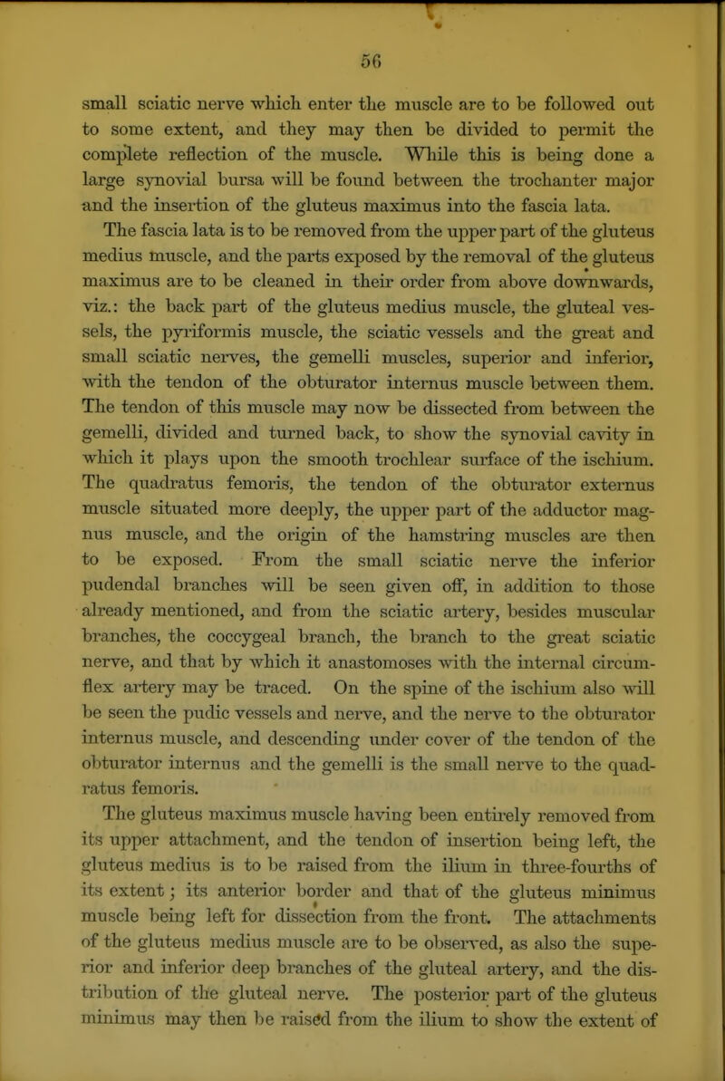small sciatic nerve whicli enter the muscle are to be followed out to some extent, and they may then be divided to permit the complete reflection of the muscle. Wliile this is being done a large sjTiovial bursa will be found between the trochanter major and the insertion of the gluteus maximus into the fascia lata. The fascia lata is to be removed from the upper part of the gluteus medius muscle, and the parts exposed by the removal of the gluteus maximus are to be cleaned in their order from above downwards, viz.: the back part of the gluteus medius muscle, the gluteal ves- sels, the pyriformis muscle, the sciatic vessels and the great and small sciatic nerves, the gemelli muscles, superior and inferior, with the tendon of the obturator internus muscle between them. The tendon of this muscle may now be dissected from between the gemelli, divided and turned back, to show the synovial cavity in which it plays upon the smooth trochlear surface of the ischium. The quadratus femoris, the tendon of the obturator externus muscle situated more deeply, the upper part of the adductor mag- nus muscle, and the origin of the hamstring muscles are then to be exposed. From the small sciatic nerve the inferior pudendal branches will be seen given off, in addition to those already mentioned, and from the sciatic artery, besides muscular branches, the coccygeal branch, the branch to the great sciatic nerve, and that by which it anastomoses with the internal circum- flex artery may be traced. On the spine of the ischium also will be seen the pudic vessels and nerve, and the nerve to the obturator internus muscle, and descending under cover of the tendon of the obturator internus and the gemelli is the small nerve to the quad- ratus femoris. The gluteus maximus muscle having been entirely removed from its upper attachment, and the tendon of insertion being left, the gluteus medius is to be raised from the ilium in three-fourths of its extent; its anterior border and that of the gluteus minimus muscle being left for dissection from the front. The attachments of the gluteus medius muscle are to be observed, as also the supe- rior and inferior deep branches of the gluteal artery, and the dis- tribution of the gluteal nerve. The posterior part of the gluteus minimus may then be raised from the ilium to show the extent of